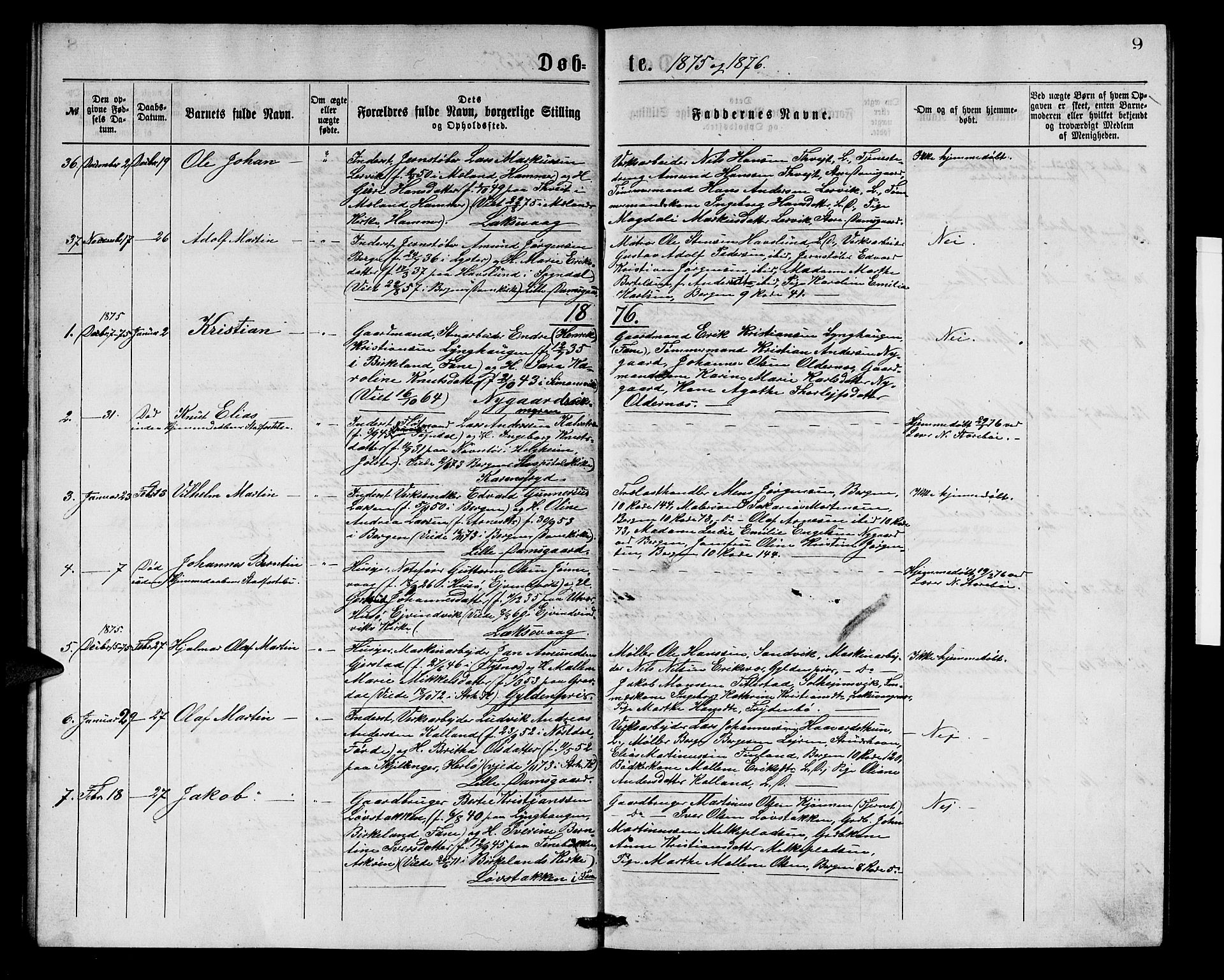 Laksevåg Sokneprestembete, AV/SAB-A-76501/H/Ha/Hab/Haba/L0001: Parish register (copy) no. A 1, 1875-1877, p. 9