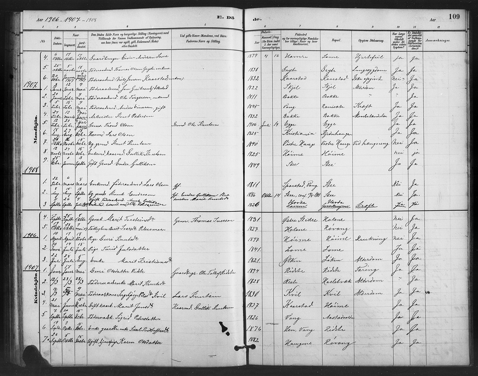 Vestre Slidre prestekontor, SAH/PREST-136/H/Ha/Hab/L0006: Parish register (copy) no. 6, 1881-1915, p. 109