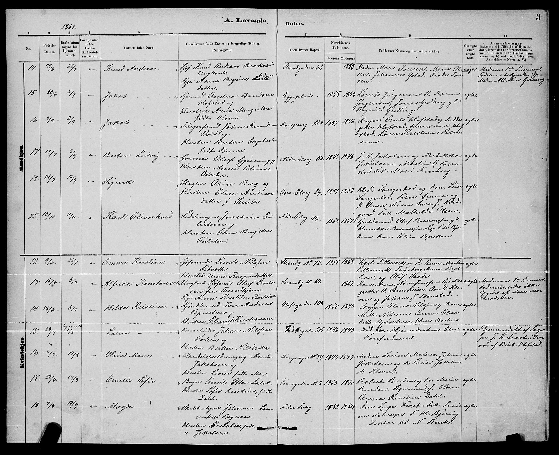 Ministerialprotokoller, klokkerbøker og fødselsregistre - Nord-Trøndelag, AV/SAT-A-1458/739/L0374: Parish register (copy) no. 739C02, 1883-1898, p. 3