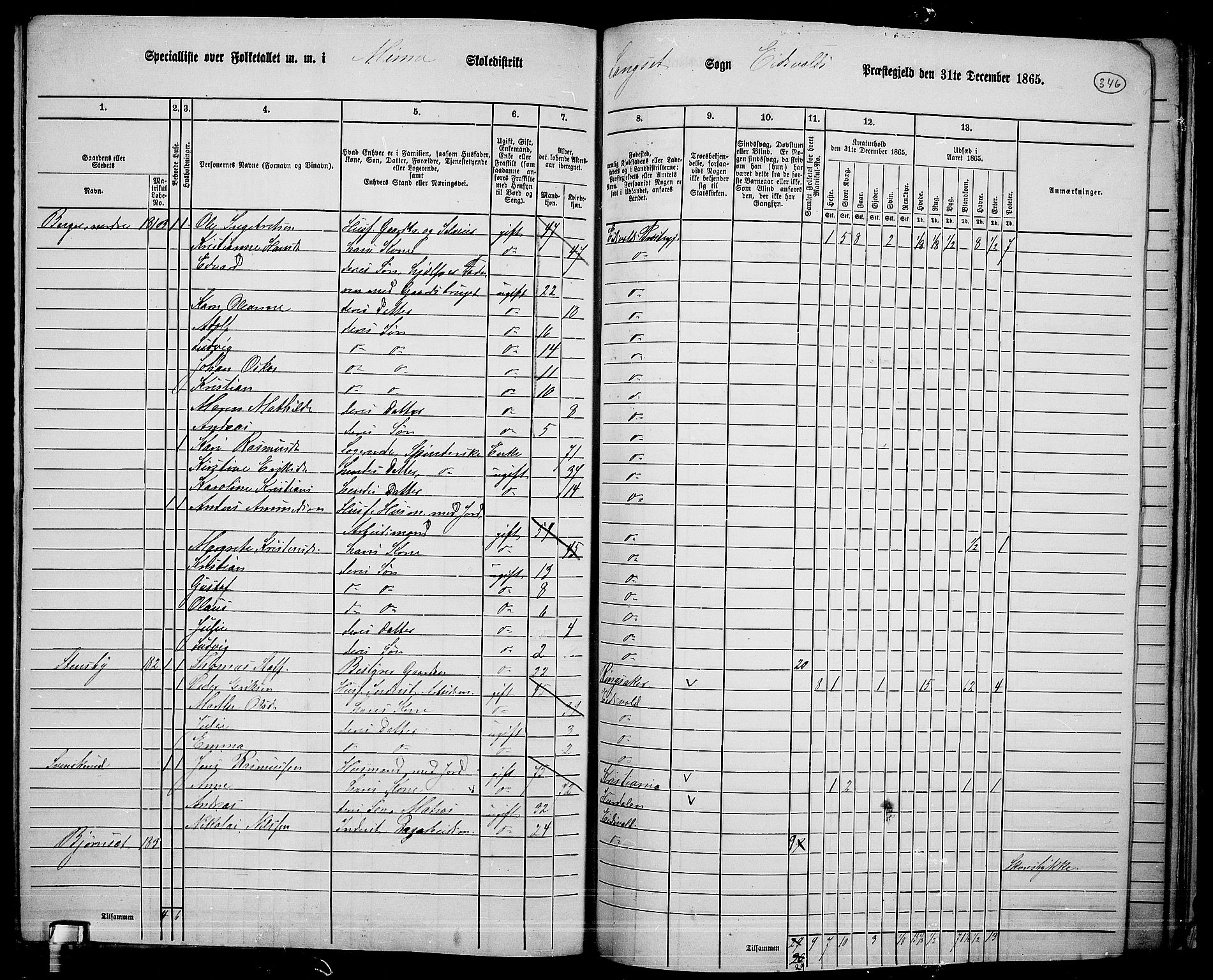 RA, 1865 census for Eidsvoll, 1865, p. 313