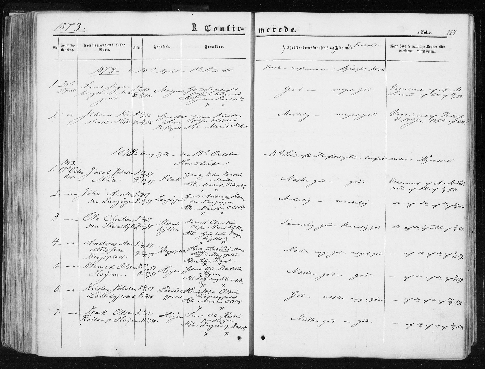 Ministerialprotokoller, klokkerbøker og fødselsregistre - Sør-Trøndelag, SAT/A-1456/612/L0377: Parish register (official) no. 612A09, 1859-1877, p. 224