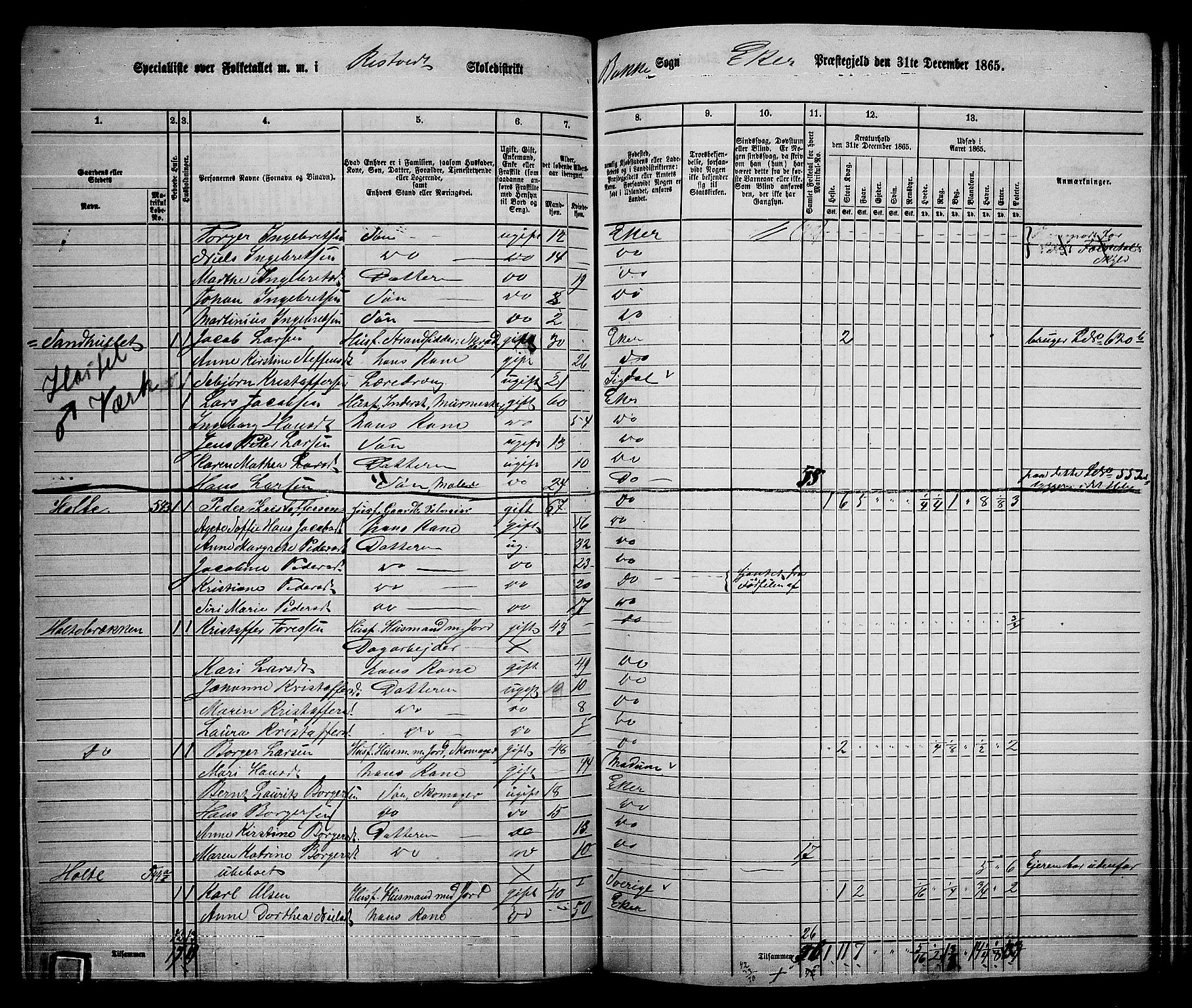 RA, 1865 census for Eiker, 1865, p. 417