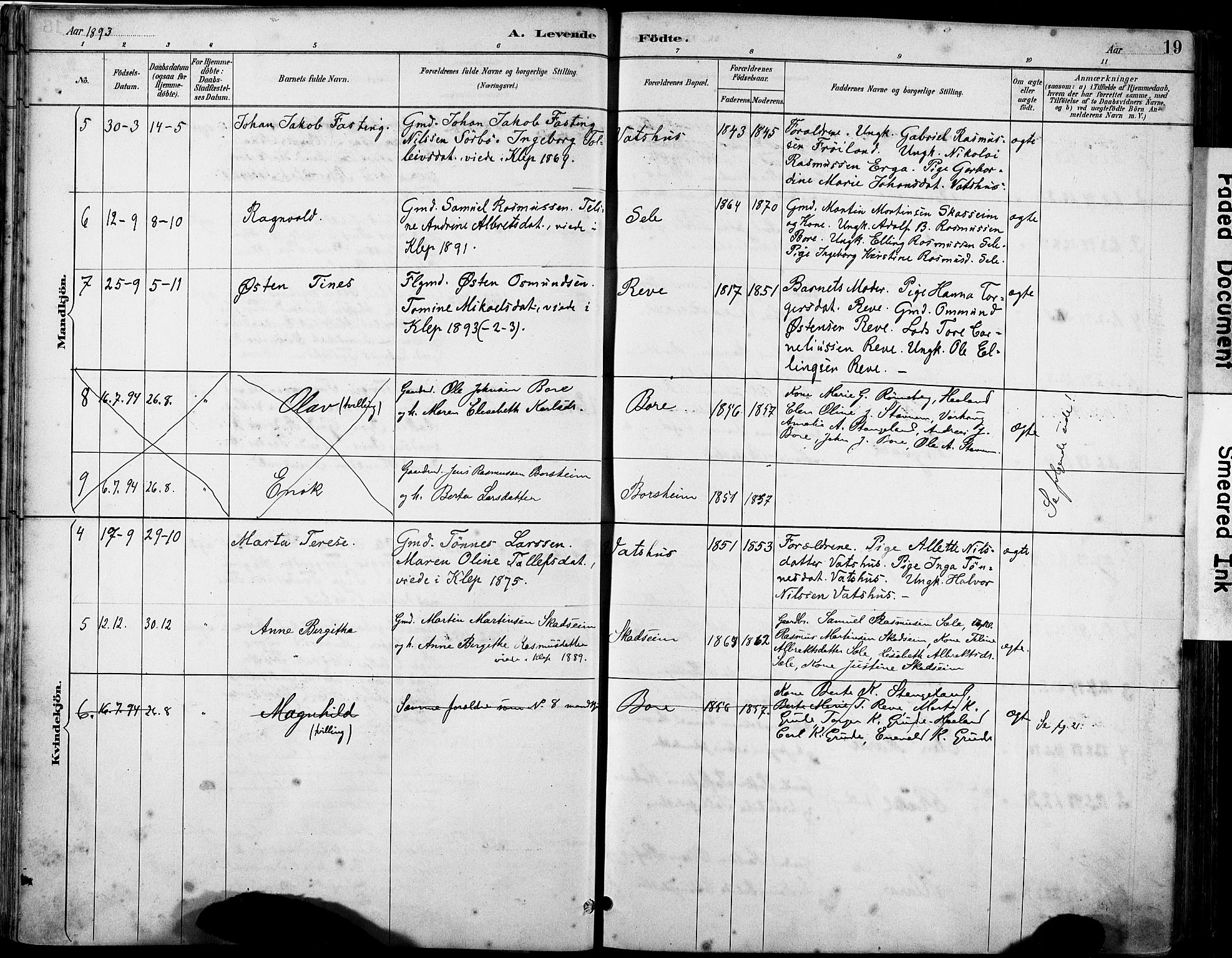 Klepp sokneprestkontor, SAST/A-101803/001/3/30BA/L0008: Parish register (official) no. A 9, 1886-1919, p. 19