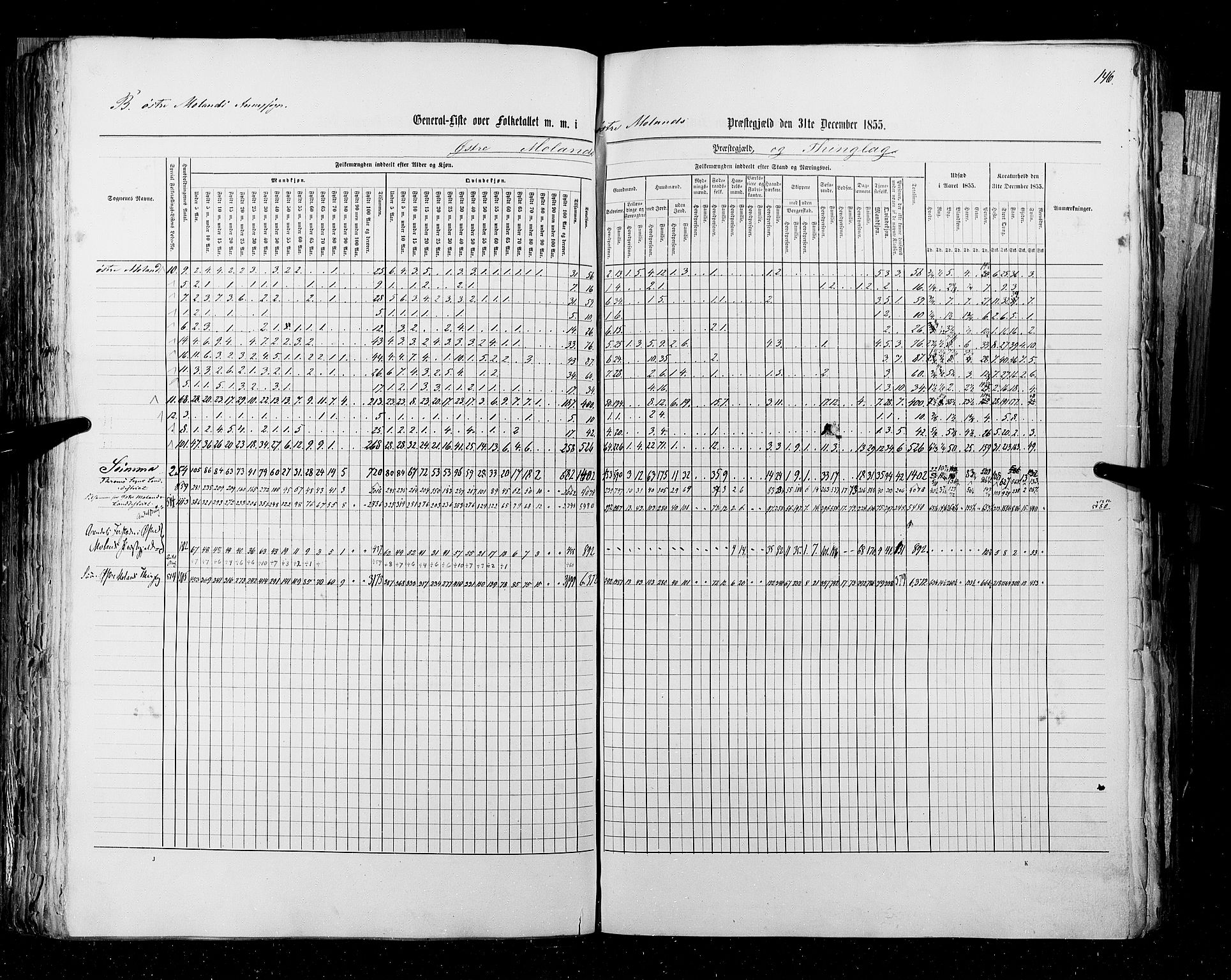 RA, Census 1855, vol. 3: Bratsberg amt, Nedenes amt og Lister og Mandal amt, 1855, p. 146