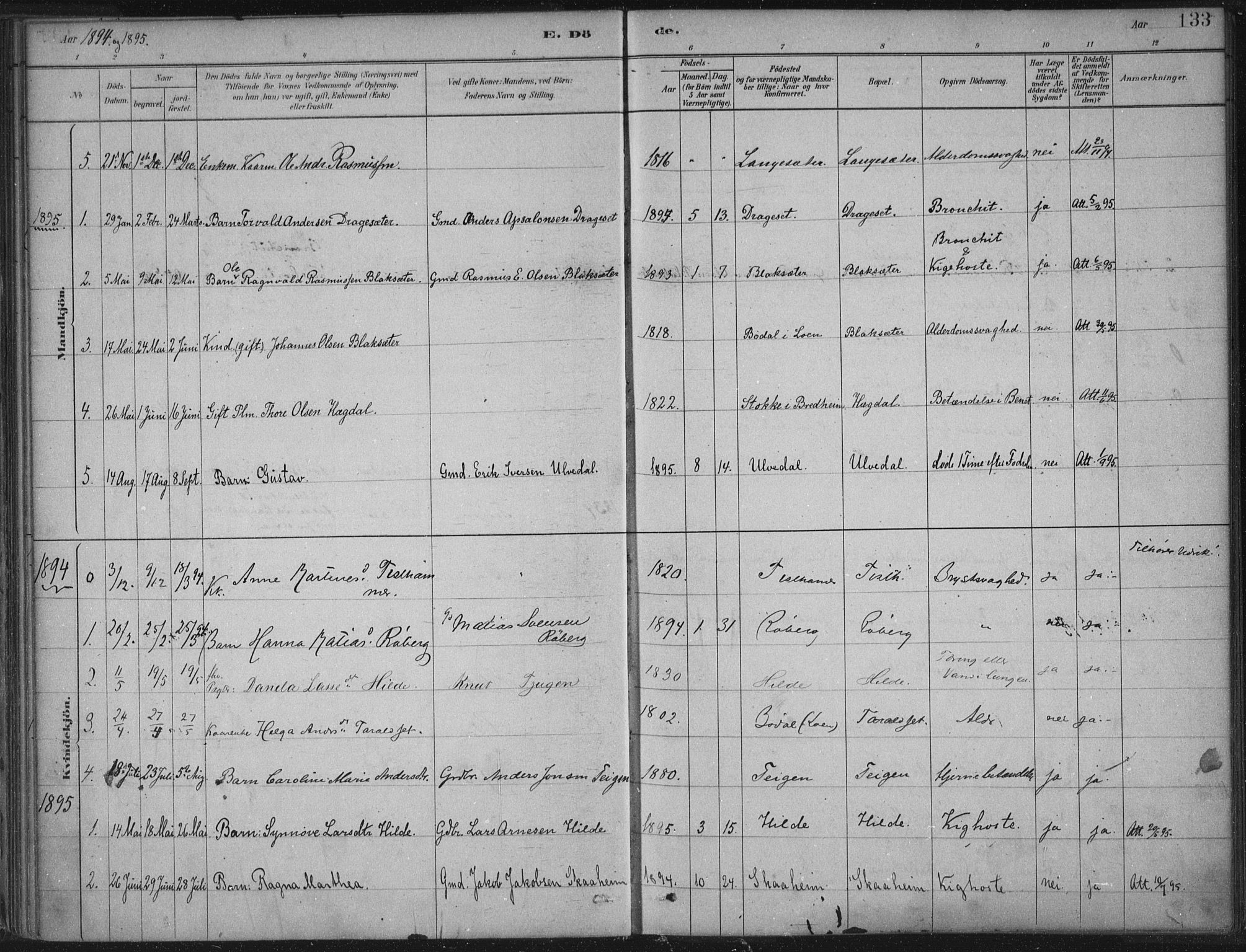 Innvik sokneprestembete, AV/SAB-A-80501: Parish register (official) no. B  1, 1879-1902, p. 133