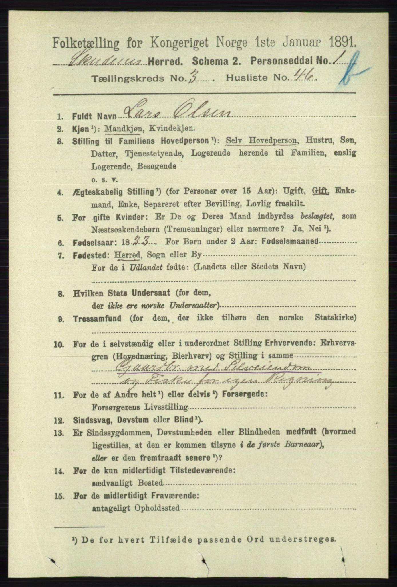 RA, 1891 census for 1150 Skudenes, 1891, p. 4236