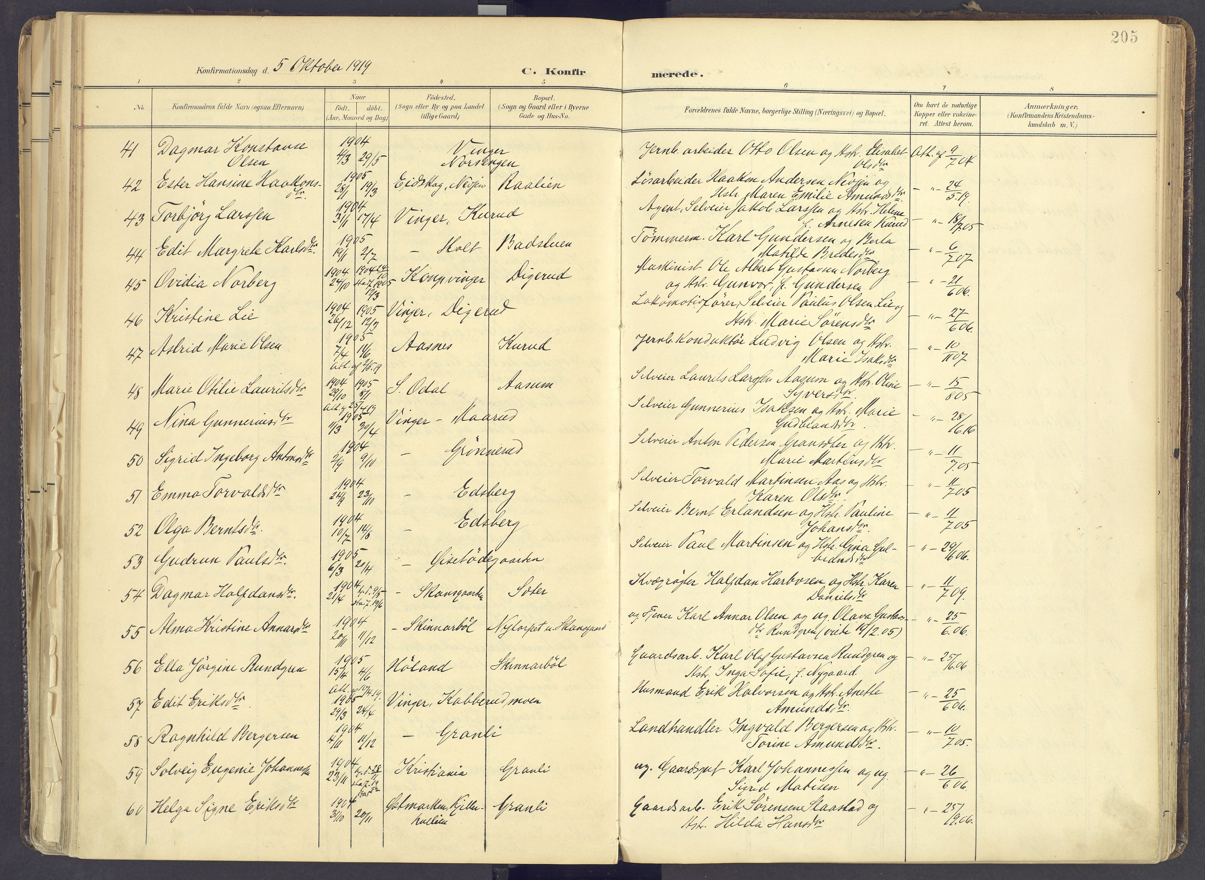 Vinger prestekontor, AV/SAH-PREST-024/H/Ha/Haa/L0017: Parish register (official) no. 17, 1901-1927, p. 205