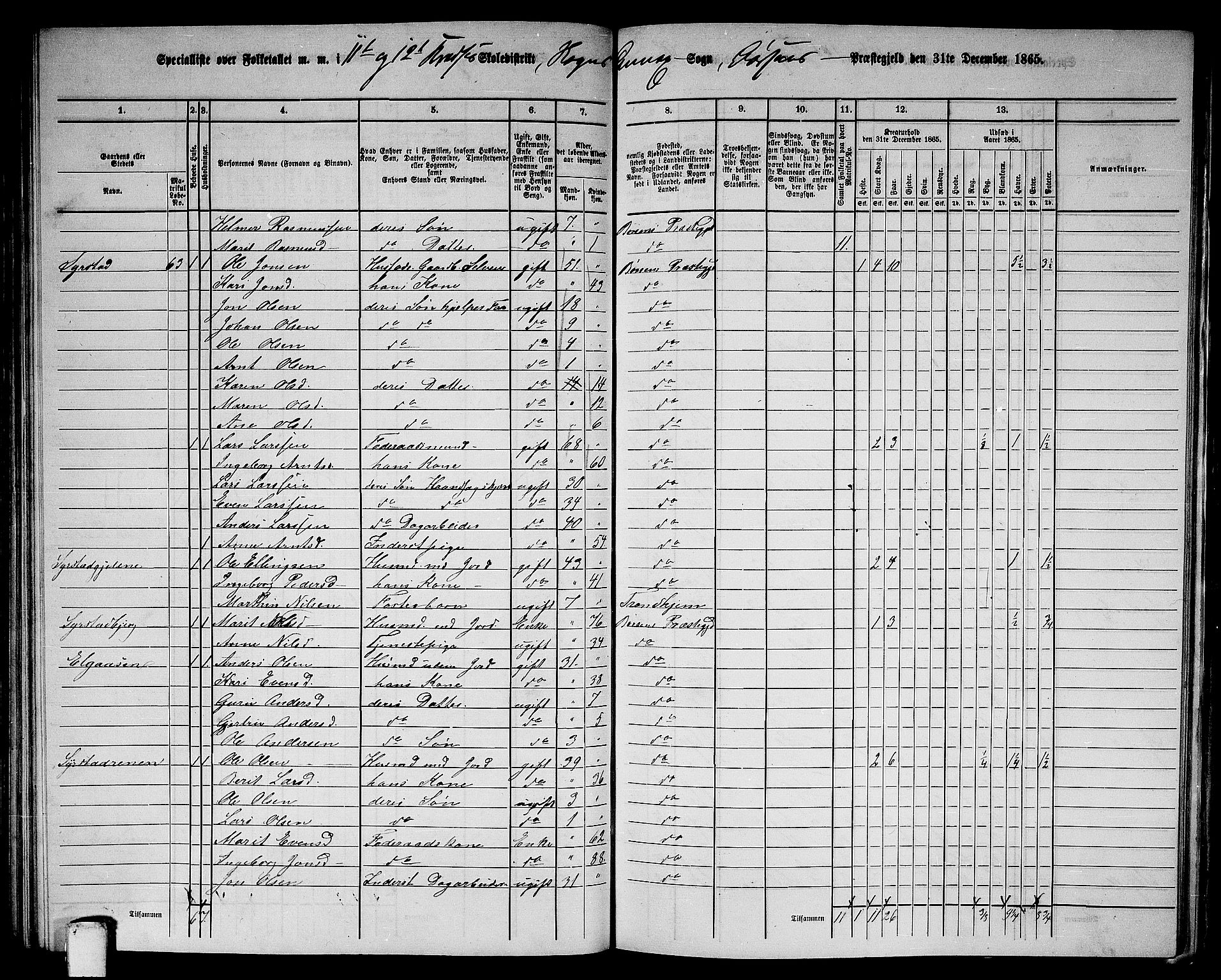 RA, 1865 census for Børsa, 1865, p. 130