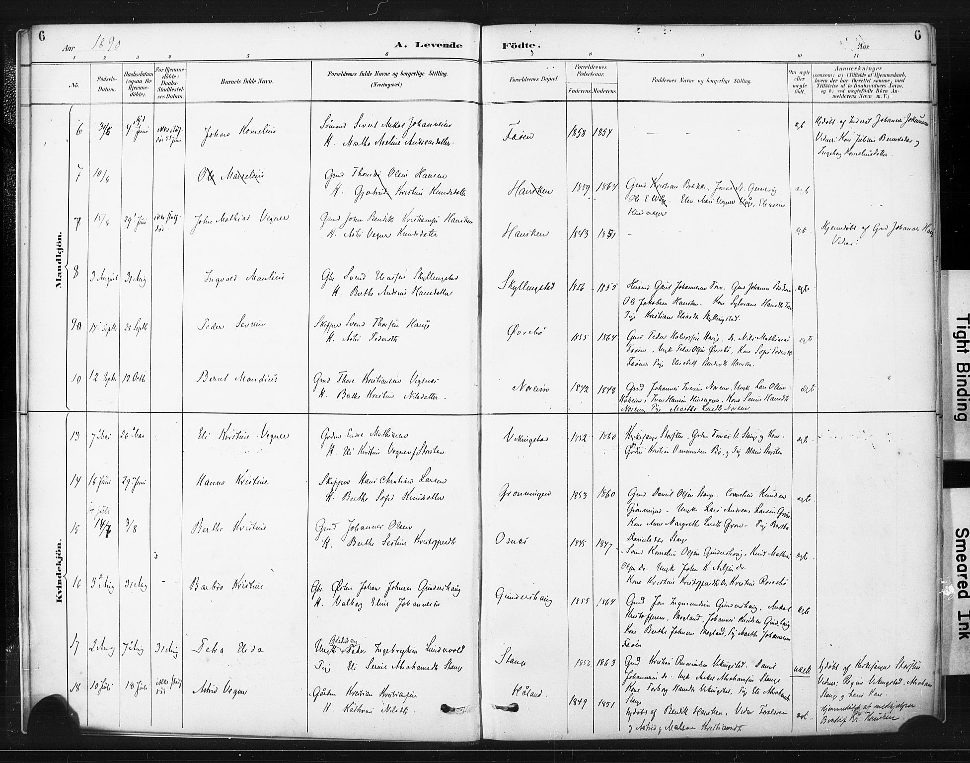 Torvastad sokneprestkontor, AV/SAST-A -101857/H/Ha/Haa/L0015: Parish register (official) no. A 14, 1888-1899, p. 6