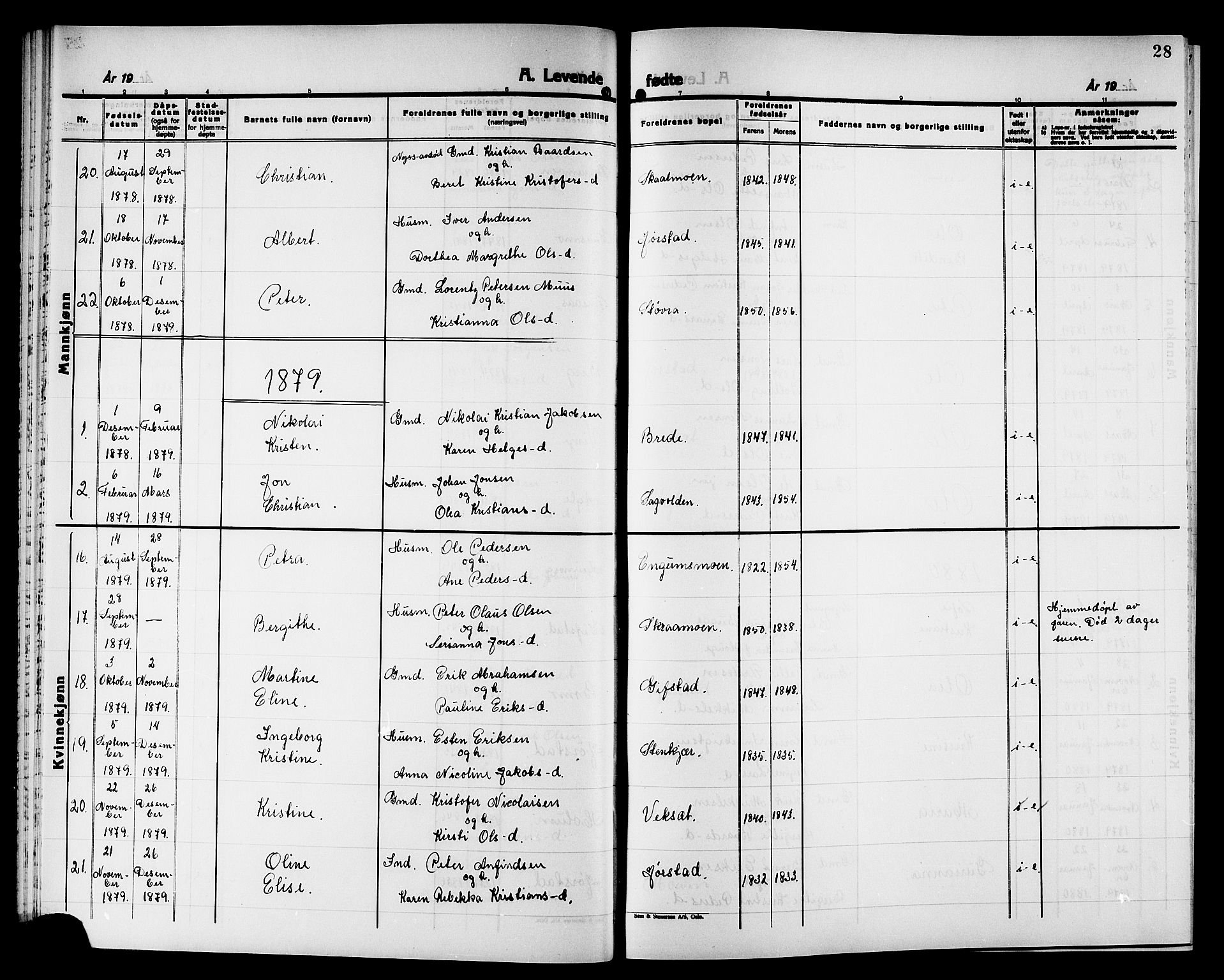 Ministerialprotokoller, klokkerbøker og fødselsregistre - Nord-Trøndelag, AV/SAT-A-1458/749/L0486: Parish register (official) no. 749D02, 1873-1887, p. 28