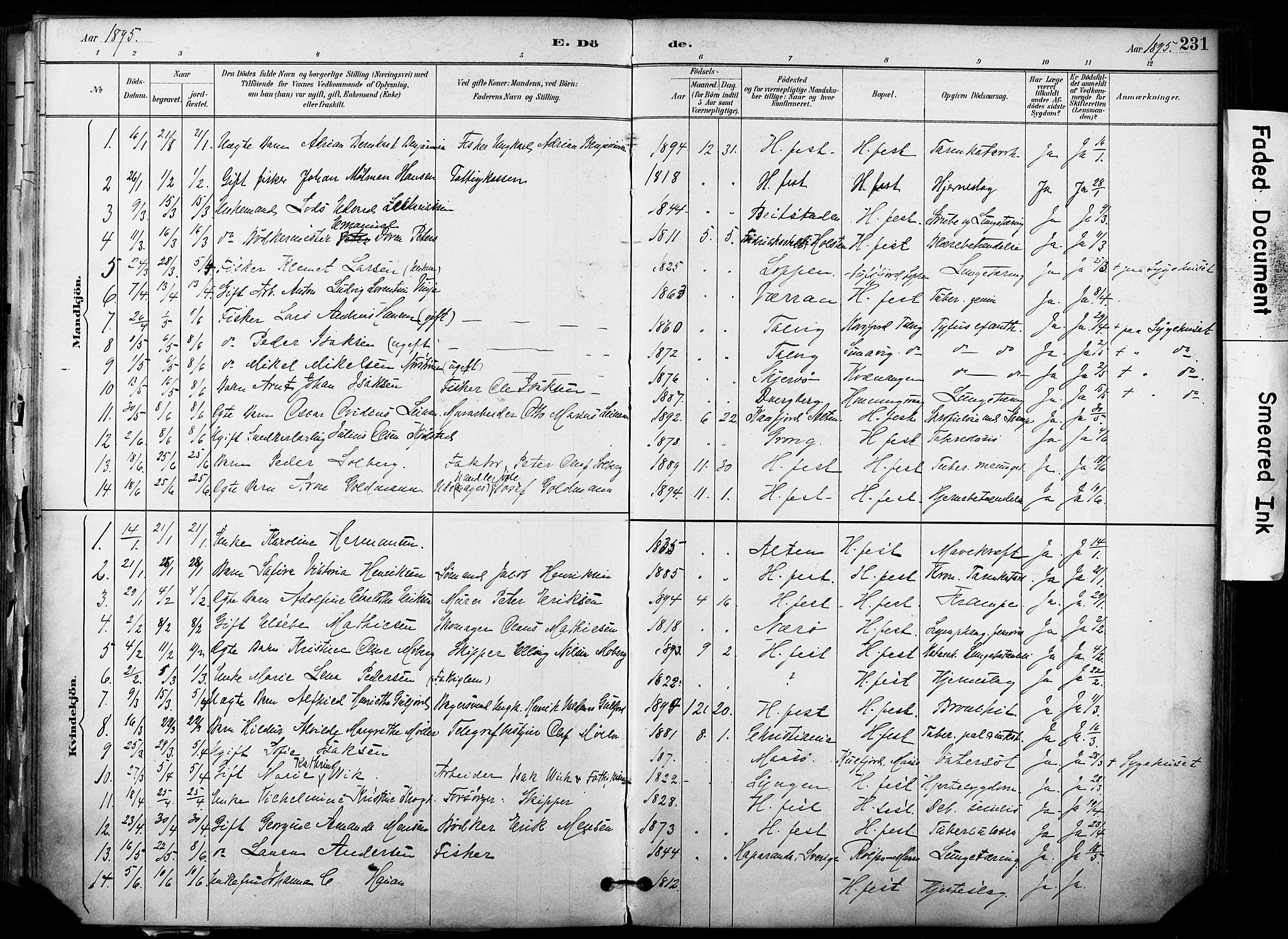 Hammerfest sokneprestkontor, SATØ/S-1347/H/Ha/L0009.kirke: Parish register (official) no. 9, 1889-1897, p. 231