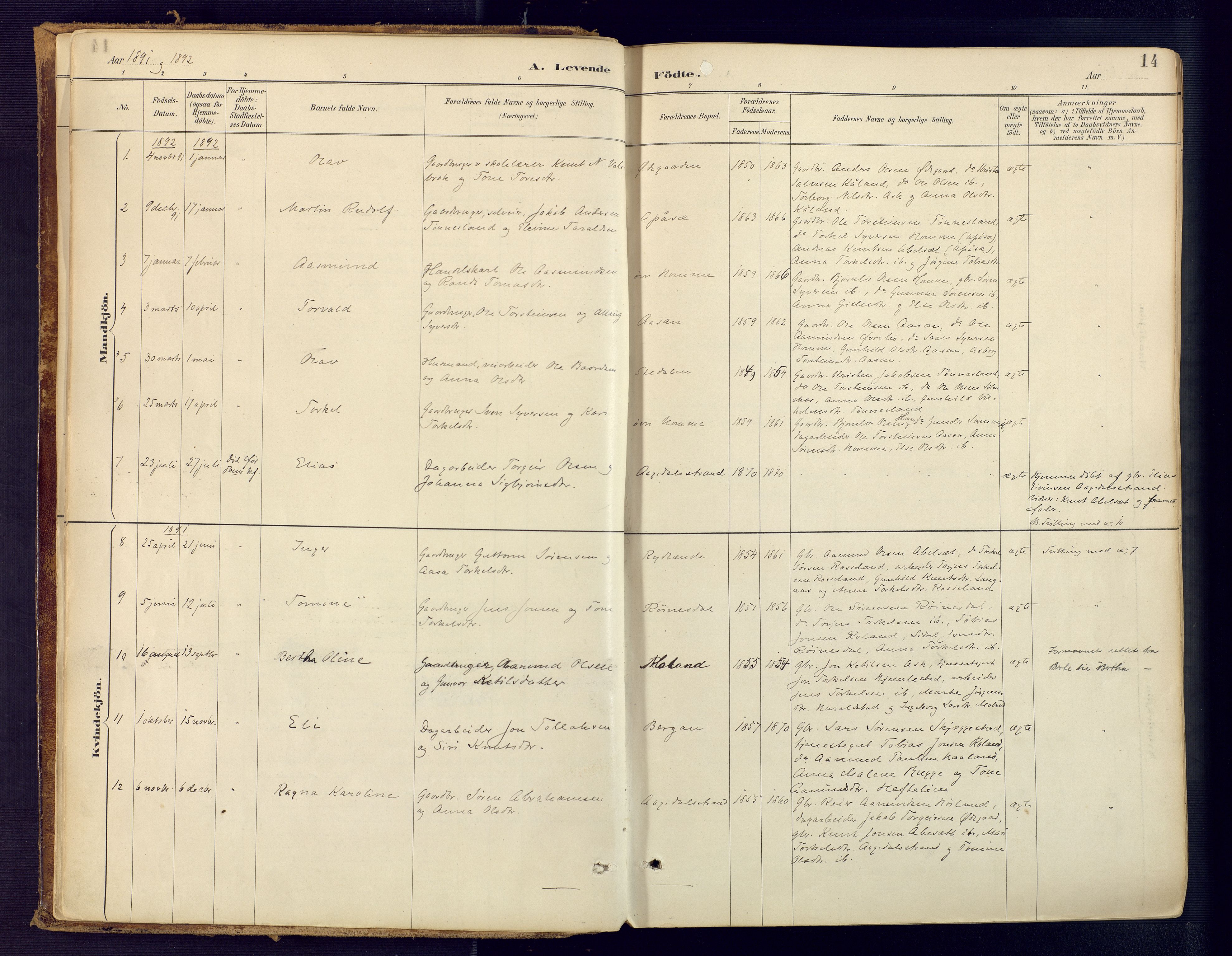 Bjelland sokneprestkontor, SAK/1111-0005/F/Fa/Faa/L0004: Parish register (official) no. A 4, 1887-1923, p. 14
