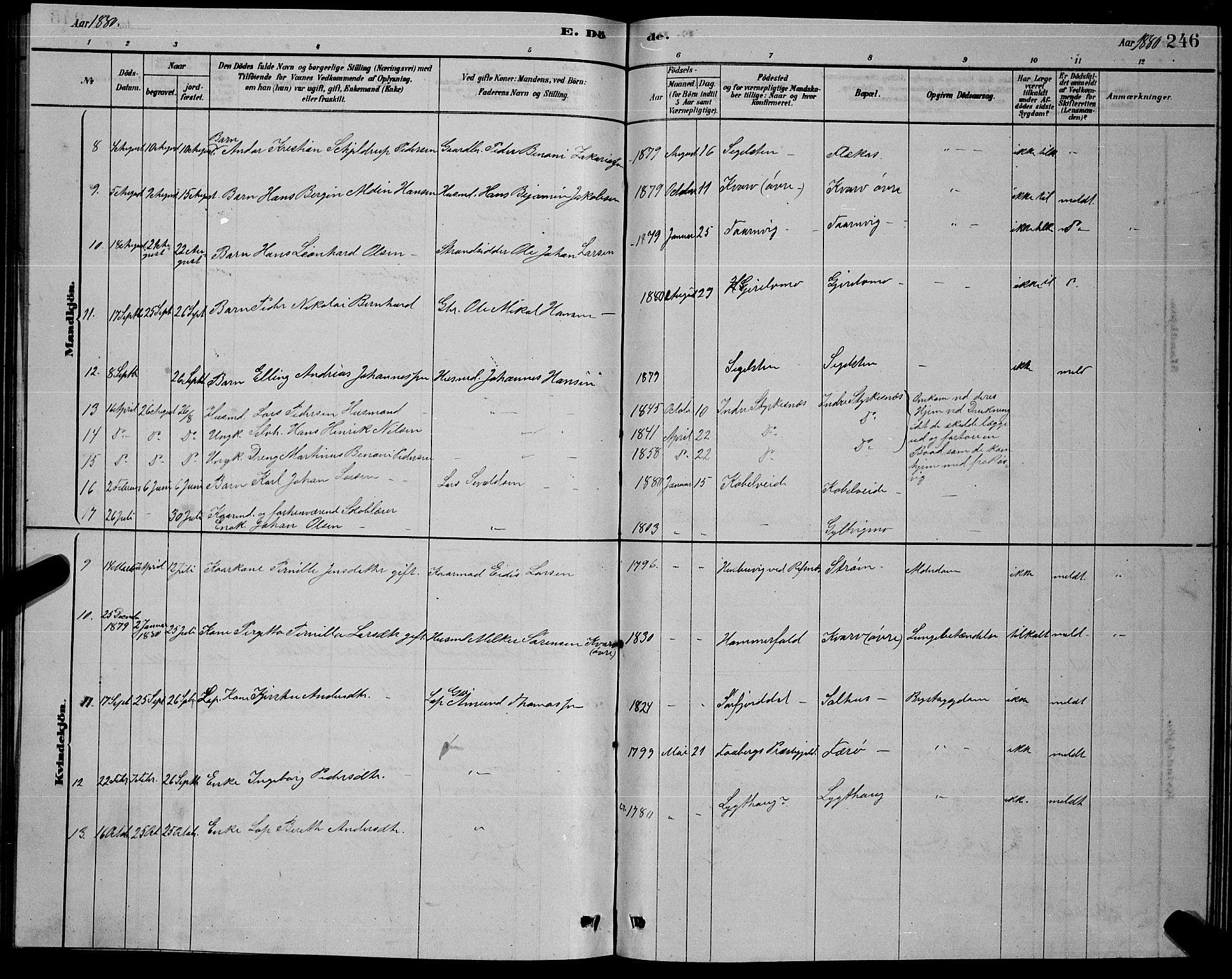 Ministerialprotokoller, klokkerbøker og fødselsregistre - Nordland, AV/SAT-A-1459/853/L0776: Parish register (copy) no. 853C04, 1878-1889, p. 246