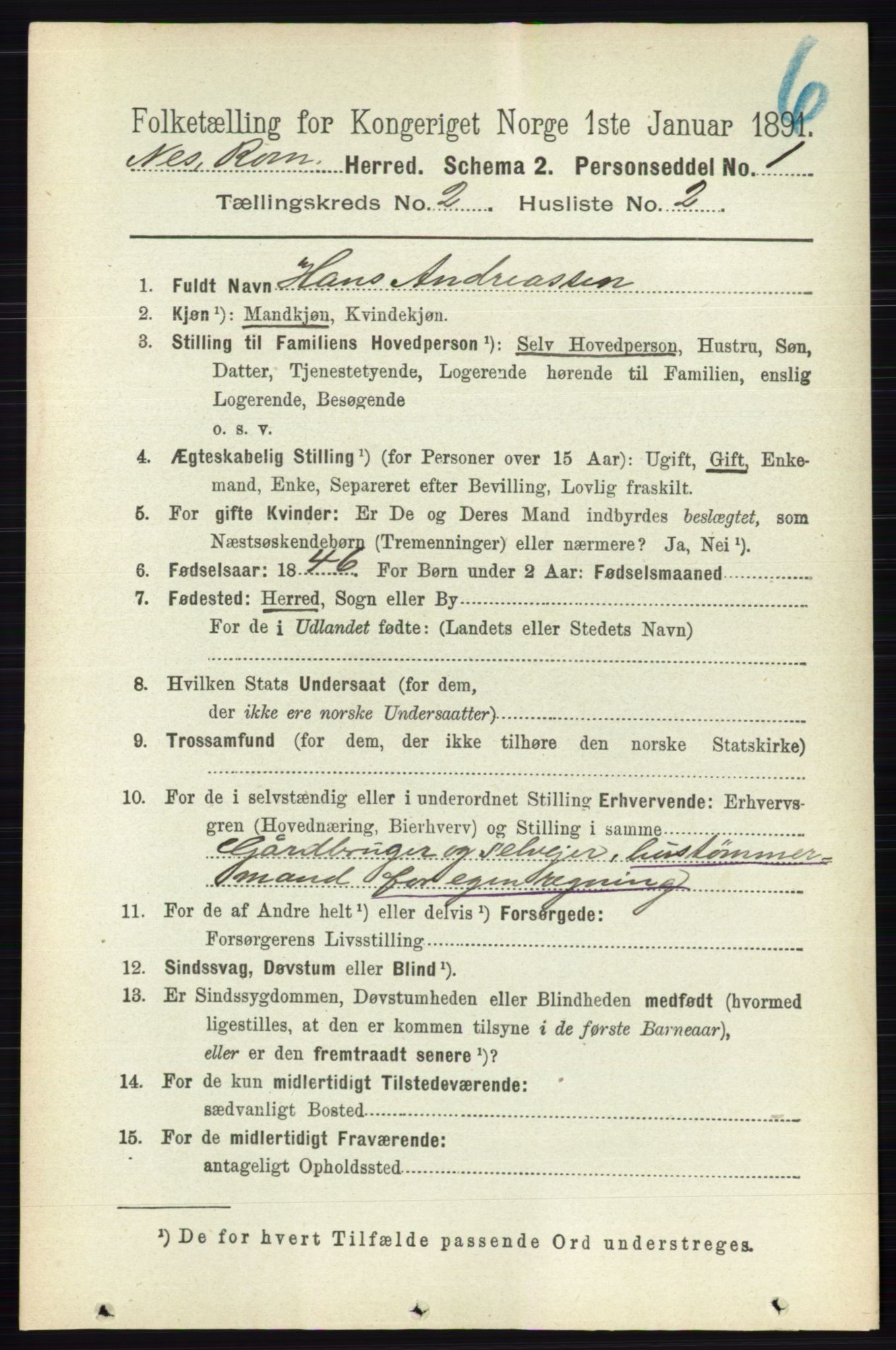 RA, 1891 census for 0236 Nes, 1891, p. 943