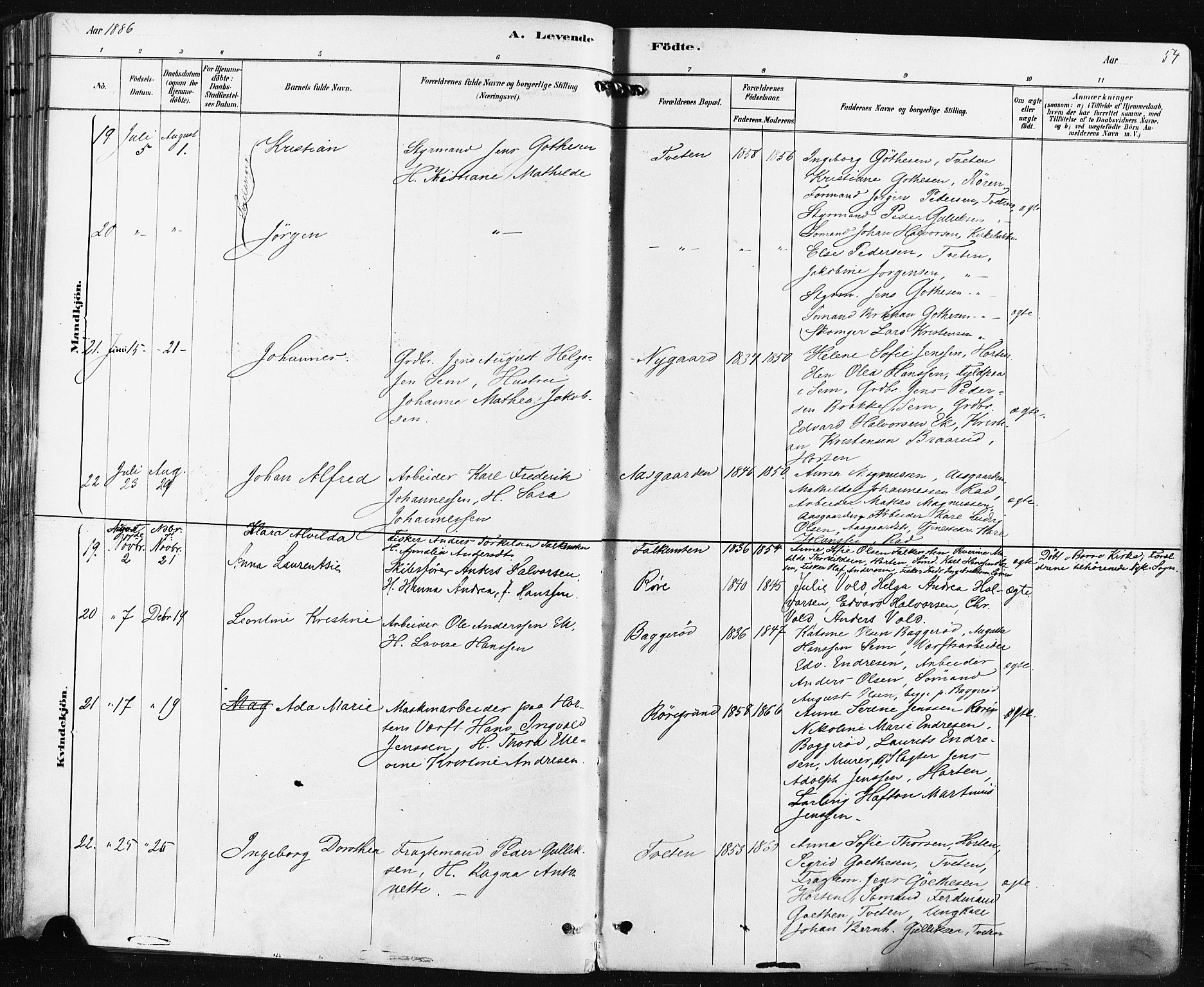 Borre kirkebøker, AV/SAKO-A-338/F/Fa/L0009: Parish register (official) no. I 9, 1878-1896, p. 54