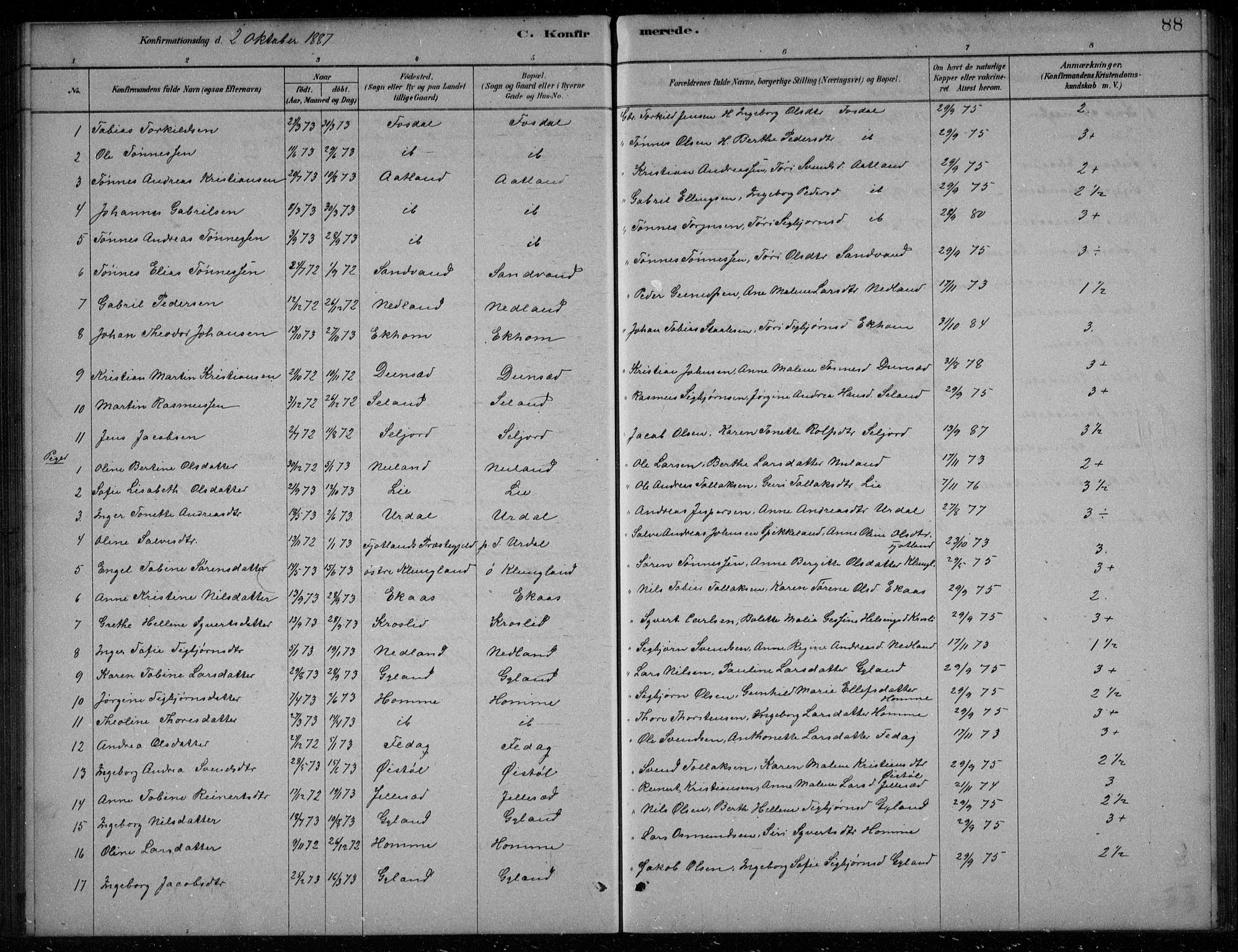 Bakke sokneprestkontor, SAK/1111-0002/F/Fb/Fbb/L0003: Parish register (copy) no. B 3, 1878-1896, p. 88