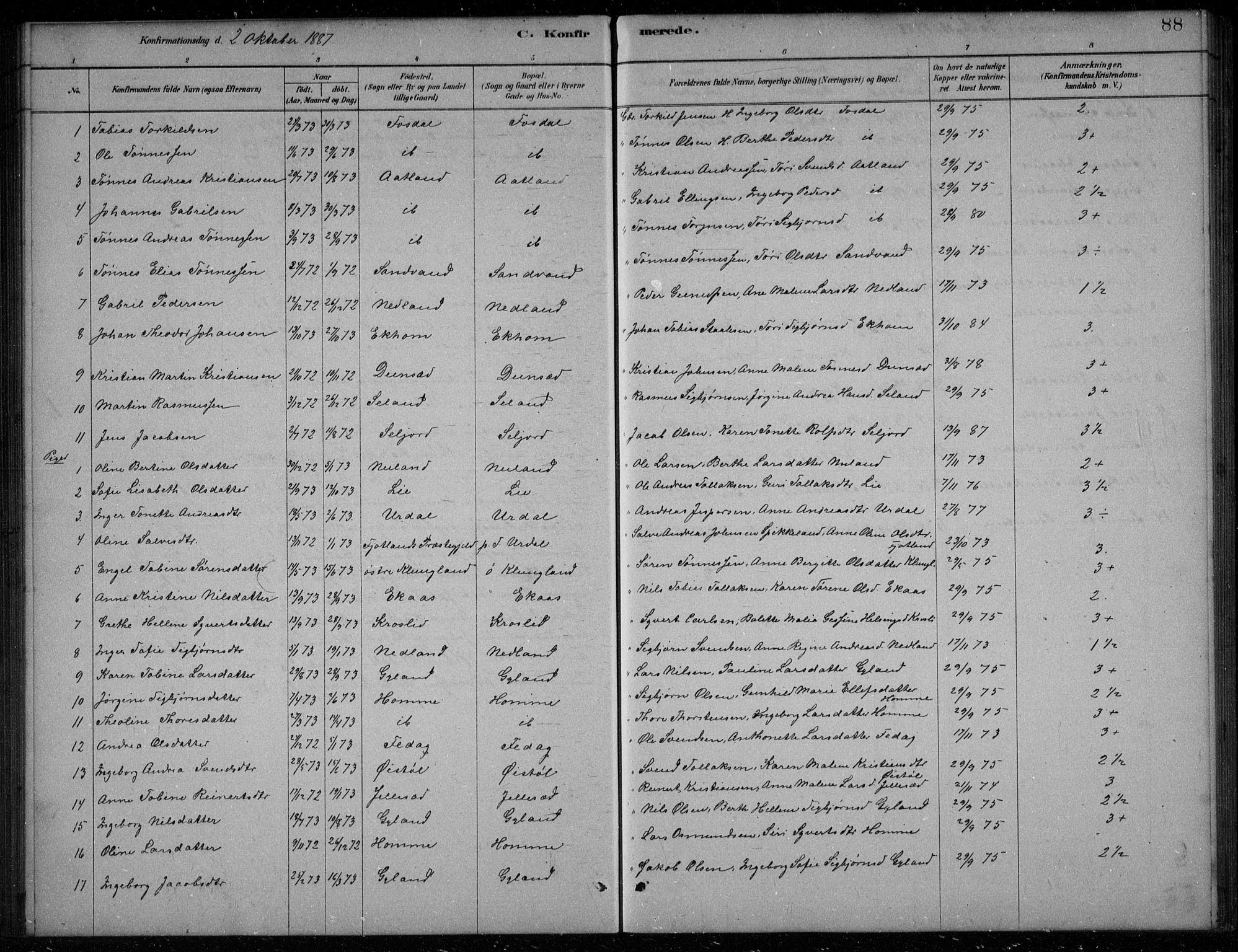 Bakke sokneprestkontor, AV/SAK-1111-0002/F/Fb/Fbb/L0003: Parish register (copy) no. B 3, 1878-1896, p. 88