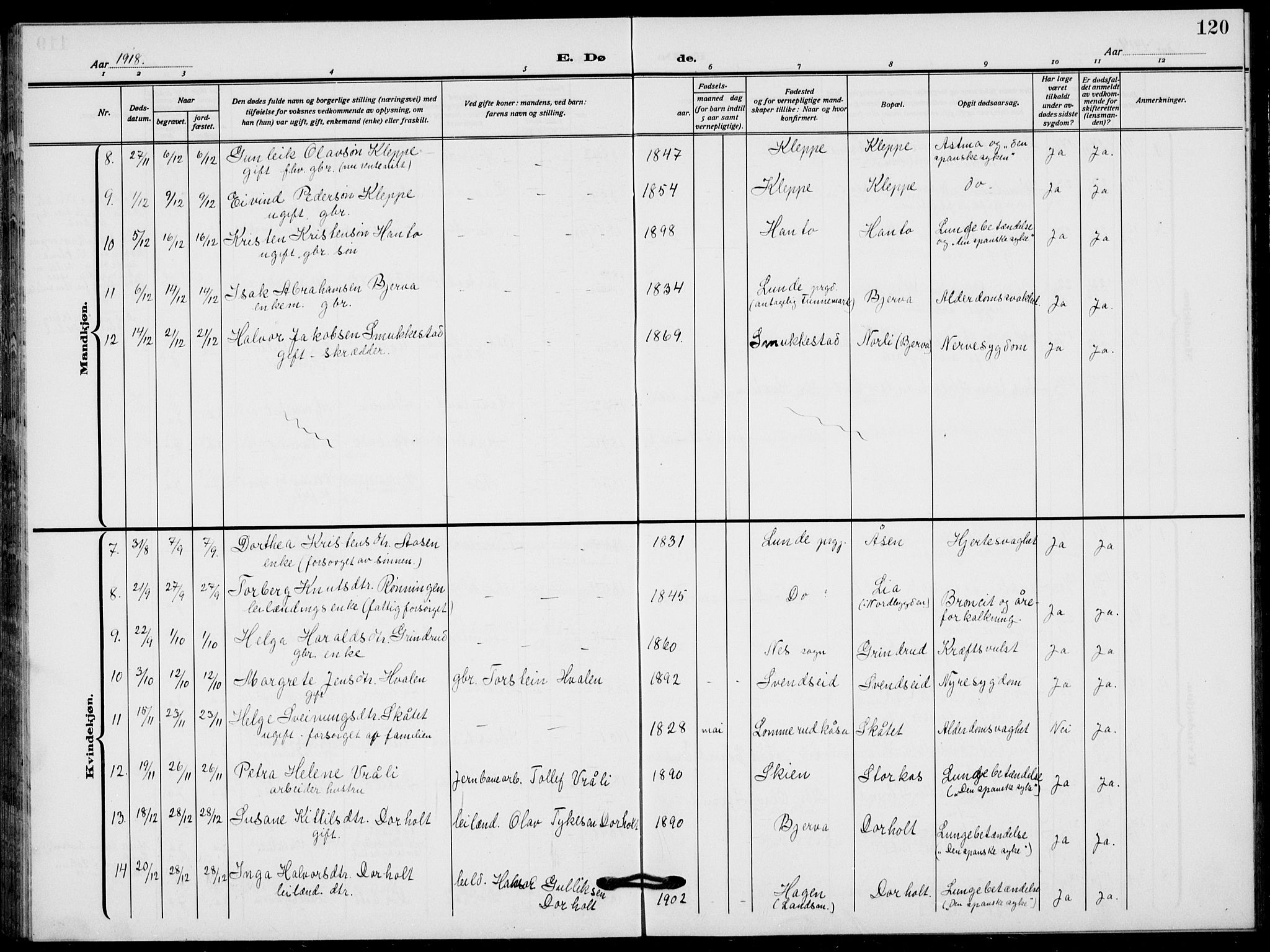 Lunde kirkebøker, SAKO/A-282/F/Fa/L0005: Parish register (official) no. I 5, 1914-1922, p. 120