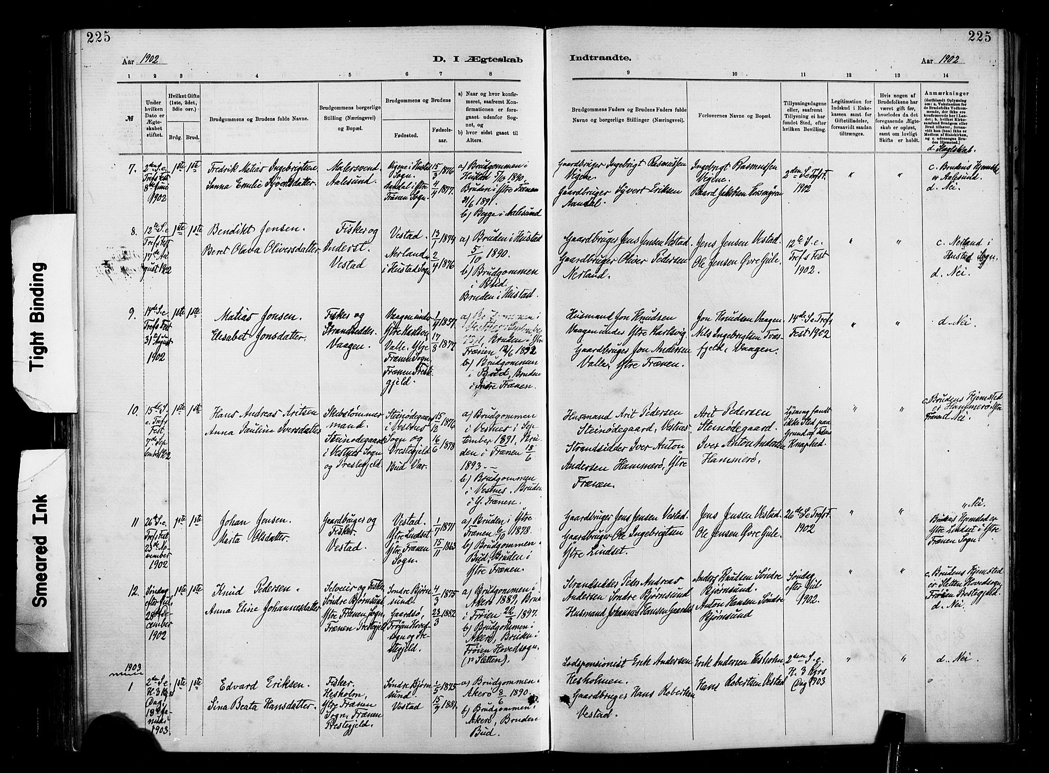 Ministerialprotokoller, klokkerbøker og fødselsregistre - Møre og Romsdal, AV/SAT-A-1454/566/L0769: Parish register (official) no. 566A08, 1881-1903, p. 225