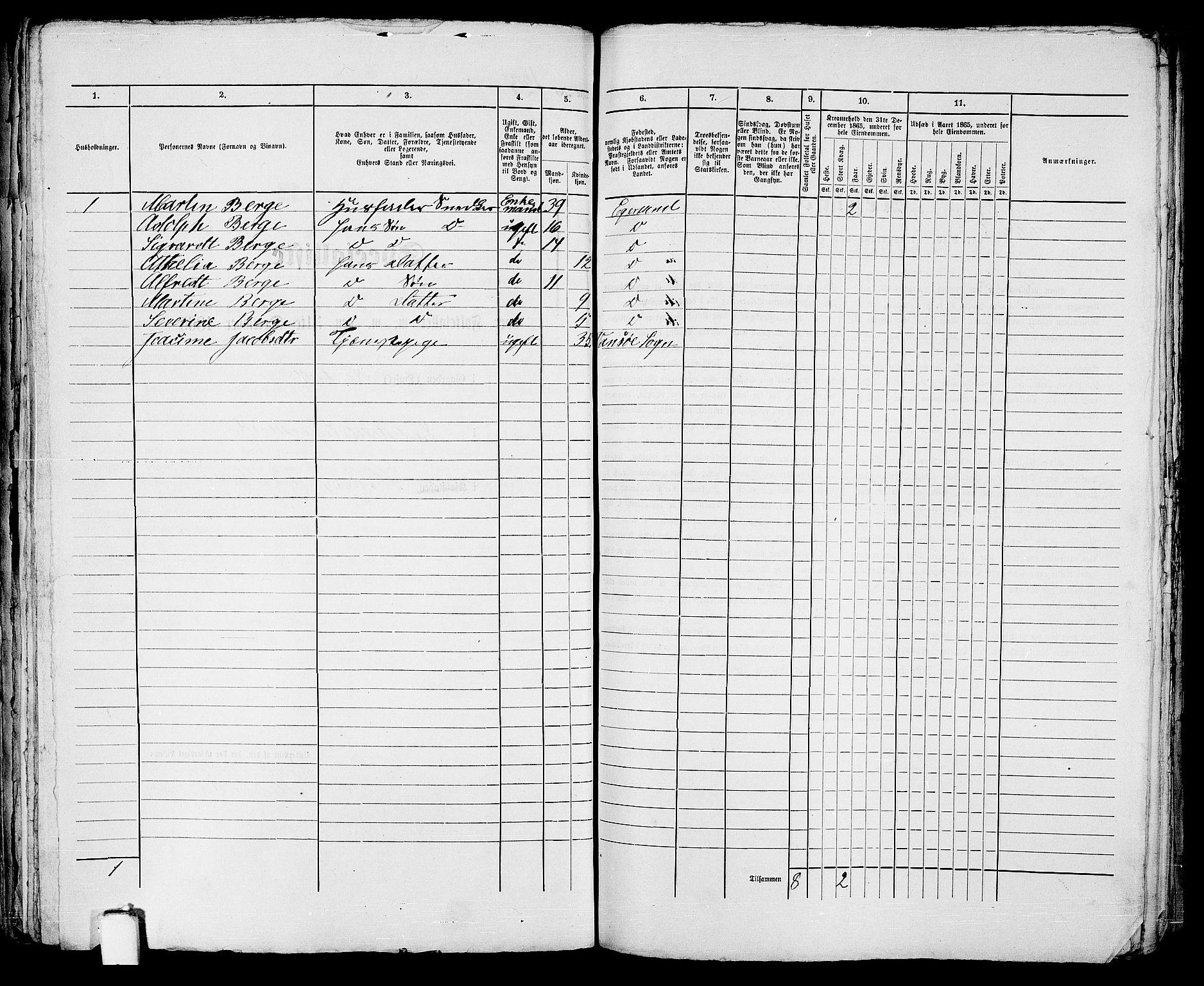 RA, 1865 census for Eigersund parish, Egersund town, 1865, p. 257