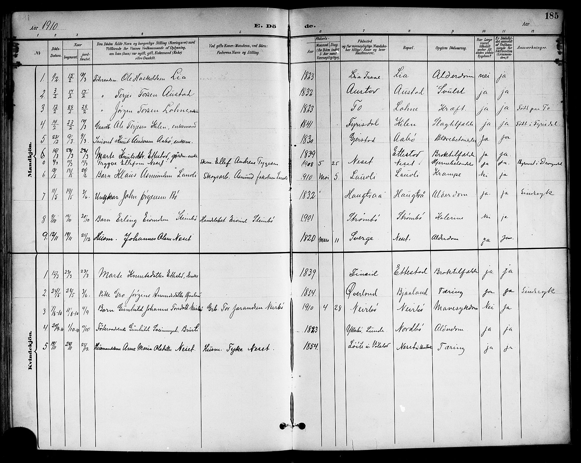 Drangedal kirkebøker, SAKO/A-258/G/Gb/L0002: Parish register (copy) no. II 2, 1895-1918, p. 185