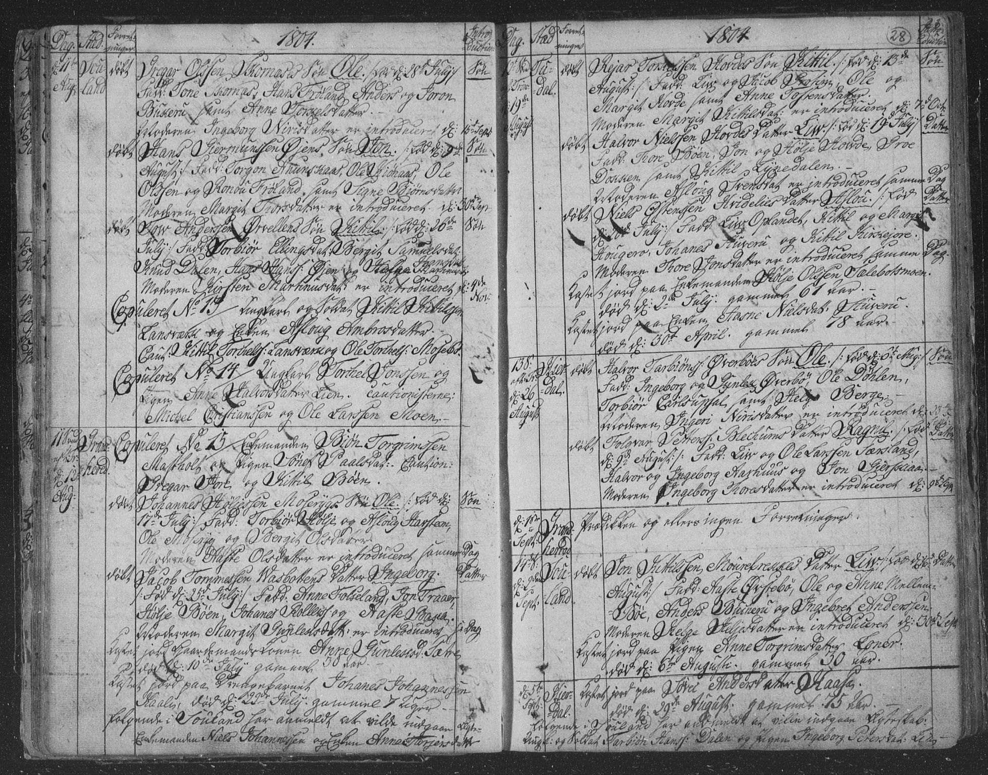 Hjartdal kirkebøker, AV/SAKO-A-270/F/Fa/L0006: Parish register (official) no. I 6, 1801-1814, p. 28