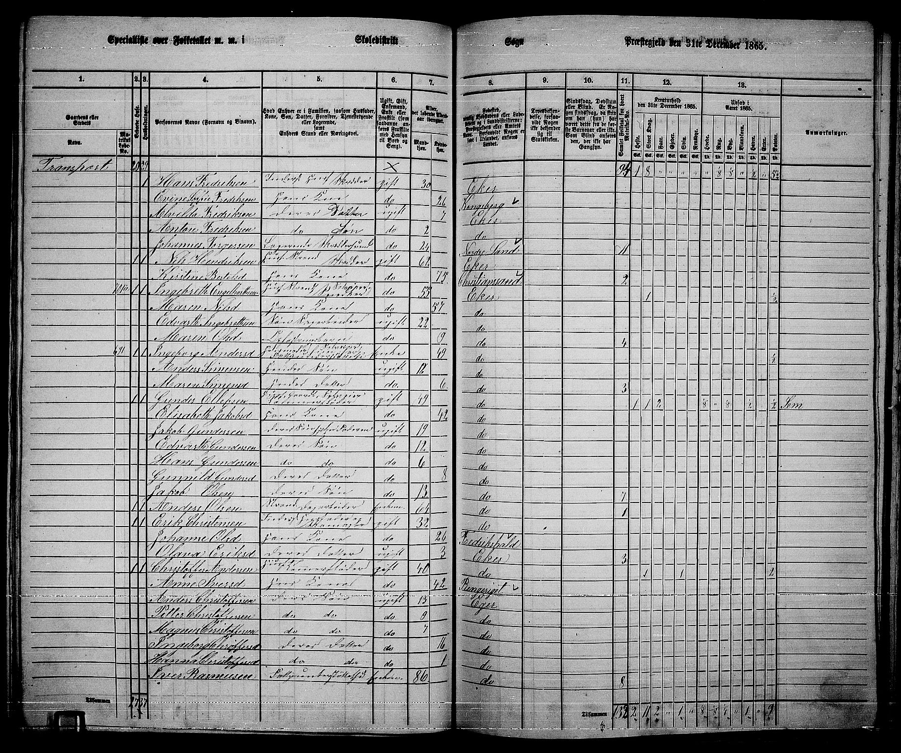 RA, 1865 census for Eiker, 1865, p. 202
