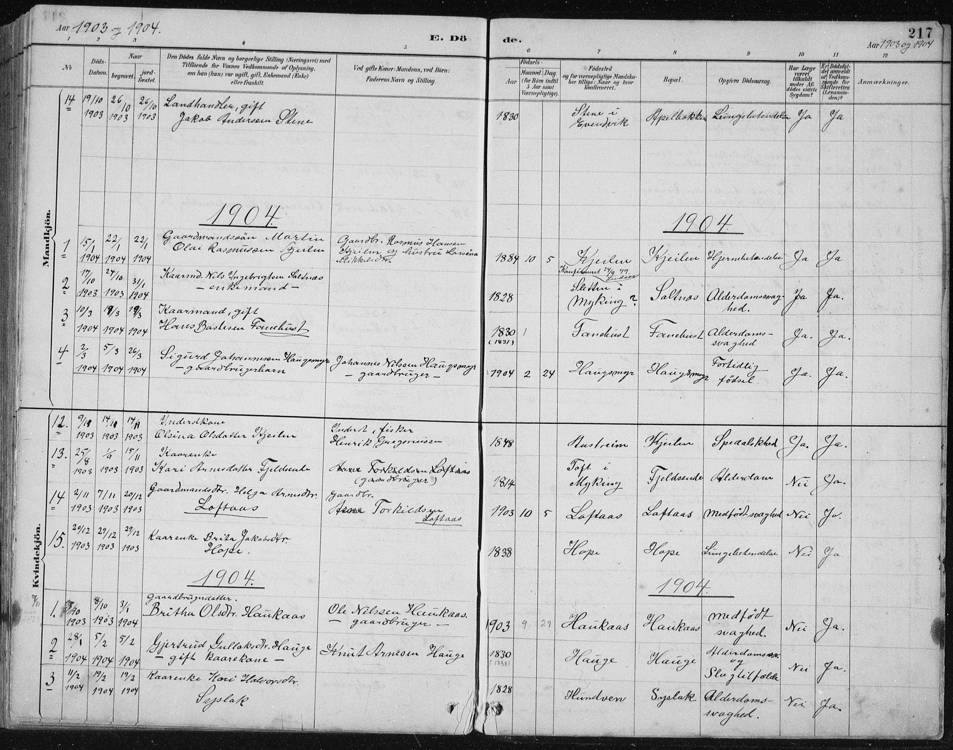 Lindås Sokneprestembete, SAB/A-76701/H/Hab: Parish register (copy) no. B 3, 1886-1914, p. 217
