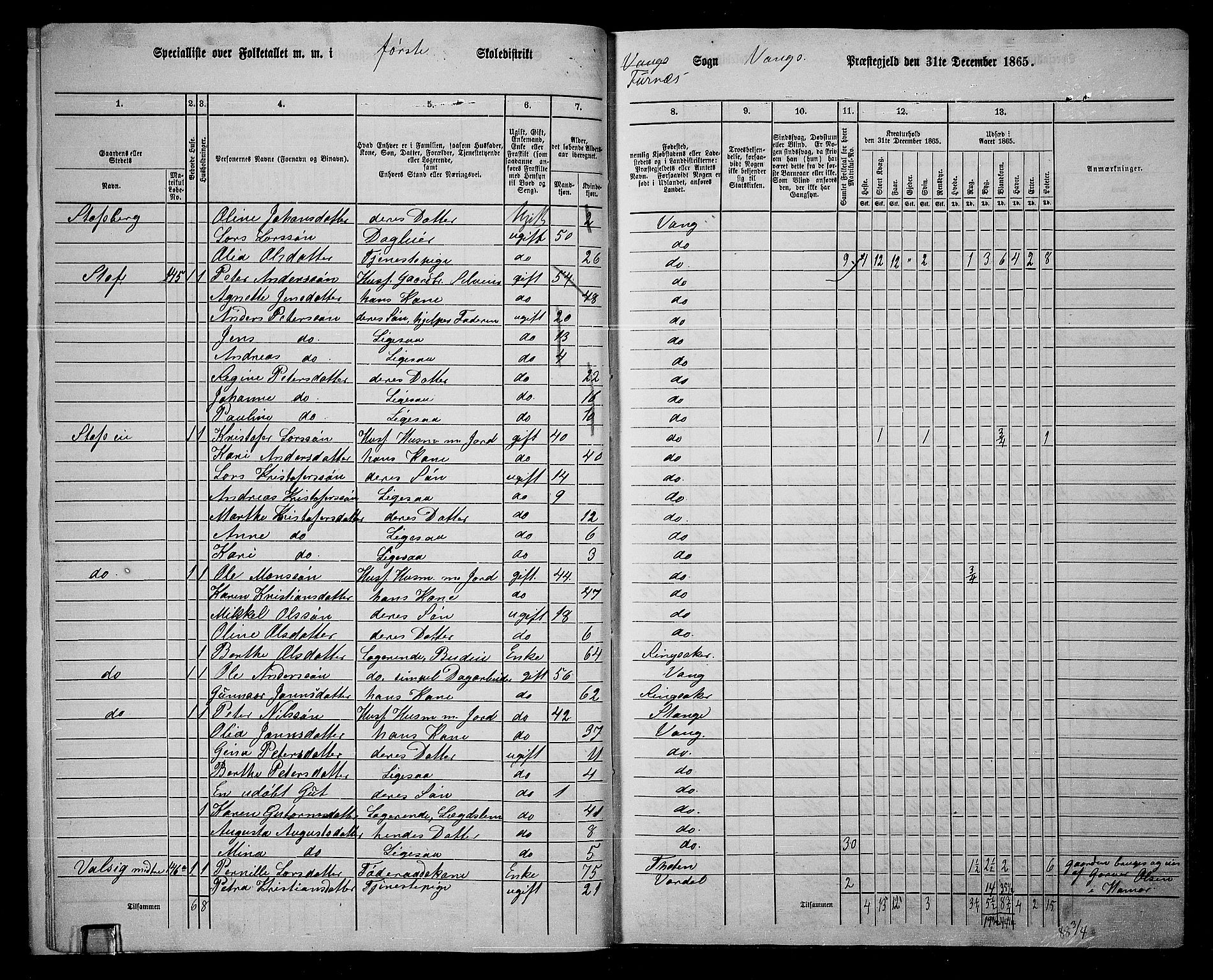 RA, 1865 census for Vang/Vang og Furnes, 1865, p. 155