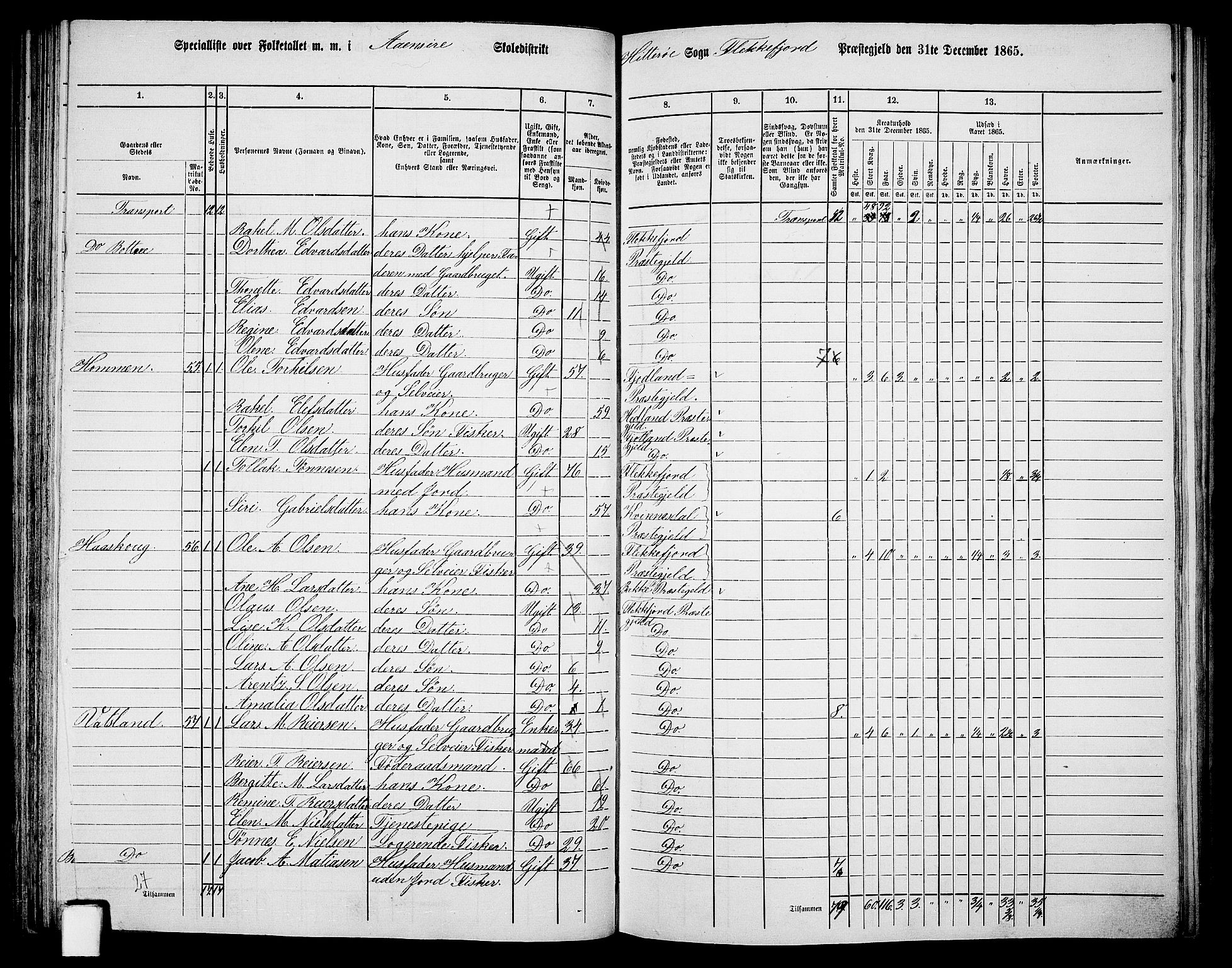 RA, 1865 census for Flekkefjord/Nes og Hidra, 1865, p. 80