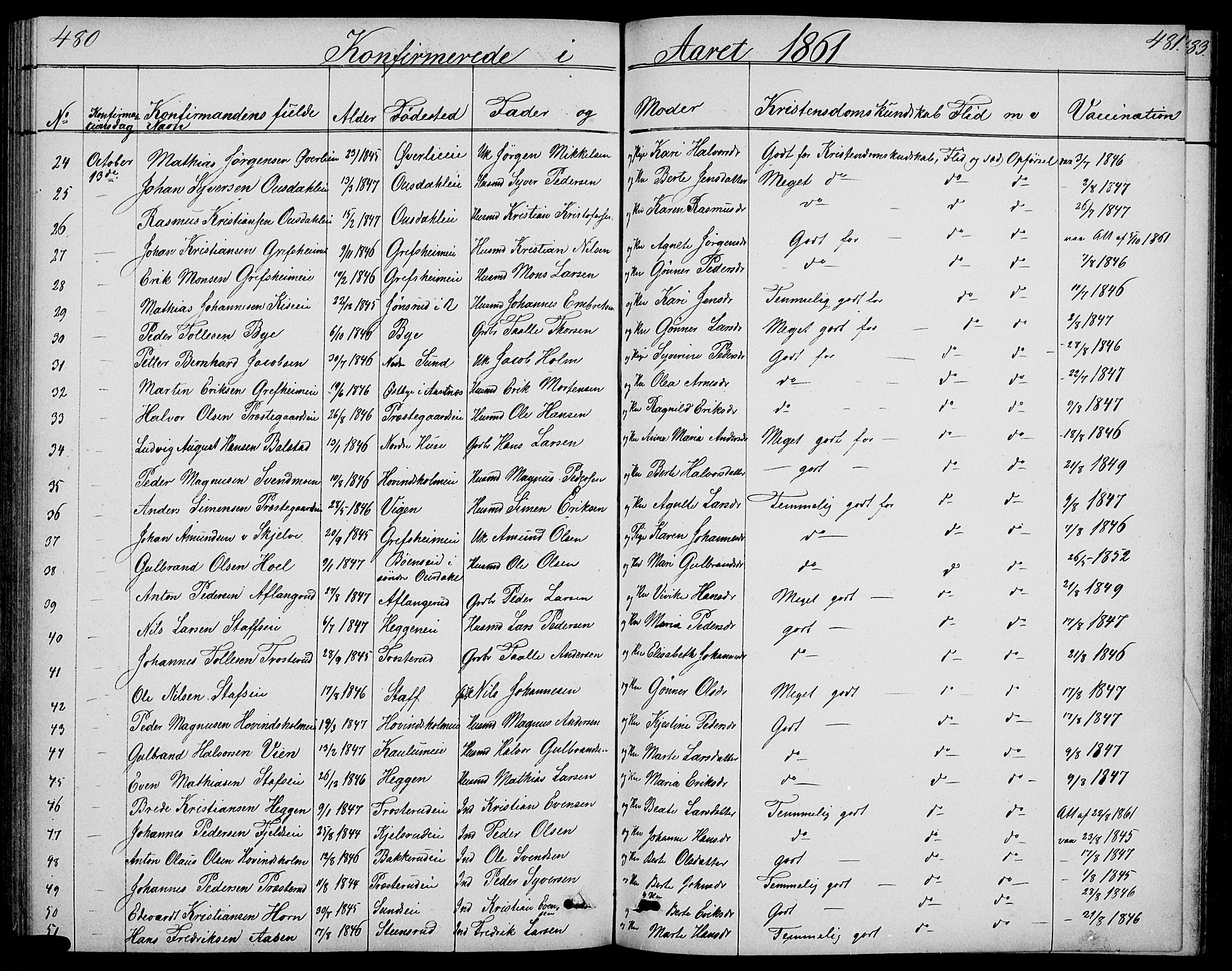 Nes prestekontor, Hedmark, SAH/PREST-020/L/La/L0005: Parish register (copy) no. 5, 1852-1889, p. 480-481
