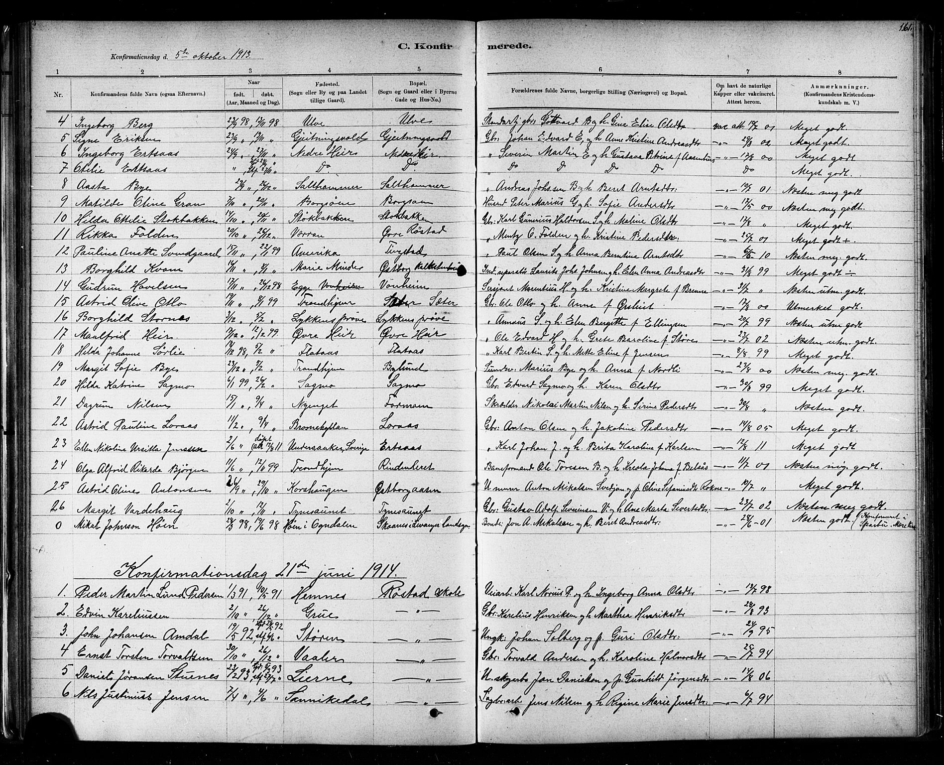 Ministerialprotokoller, klokkerbøker og fødselsregistre - Nord-Trøndelag, SAT/A-1458/721/L0208: Parish register (copy) no. 721C01, 1880-1917, p. 161