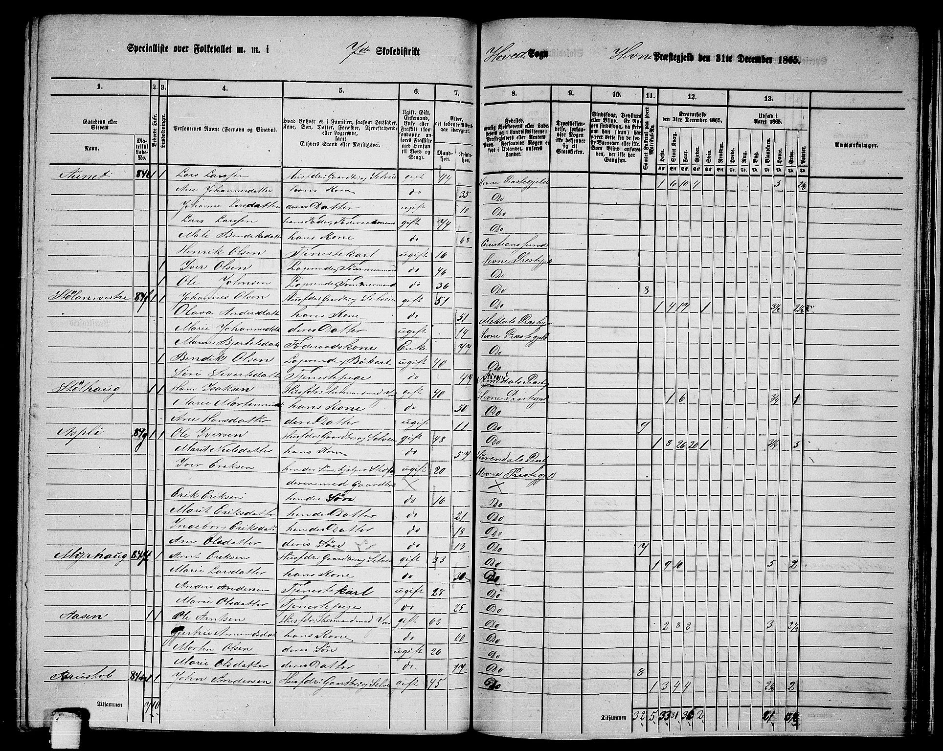 RA, 1865 census for Hemne, 1865, p. 159