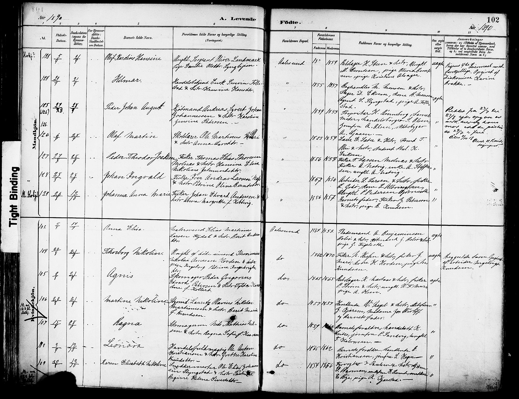 Ministerialprotokoller, klokkerbøker og fødselsregistre - Møre og Romsdal, SAT/A-1454/529/L0455: Parish register (official) no. 529A05, 1885-1893, p. 102