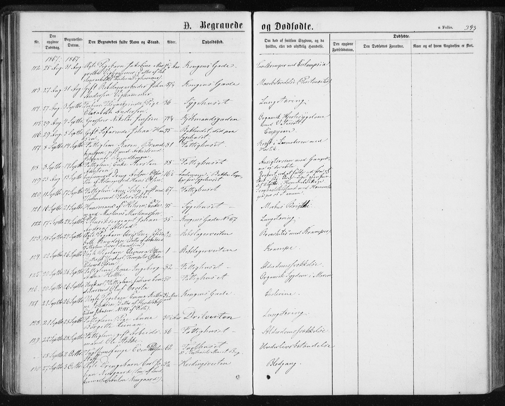 Ministerialprotokoller, klokkerbøker og fødselsregistre - Sør-Trøndelag, SAT/A-1456/601/L0055: Parish register (official) no. 601A23, 1866-1877, p. 393