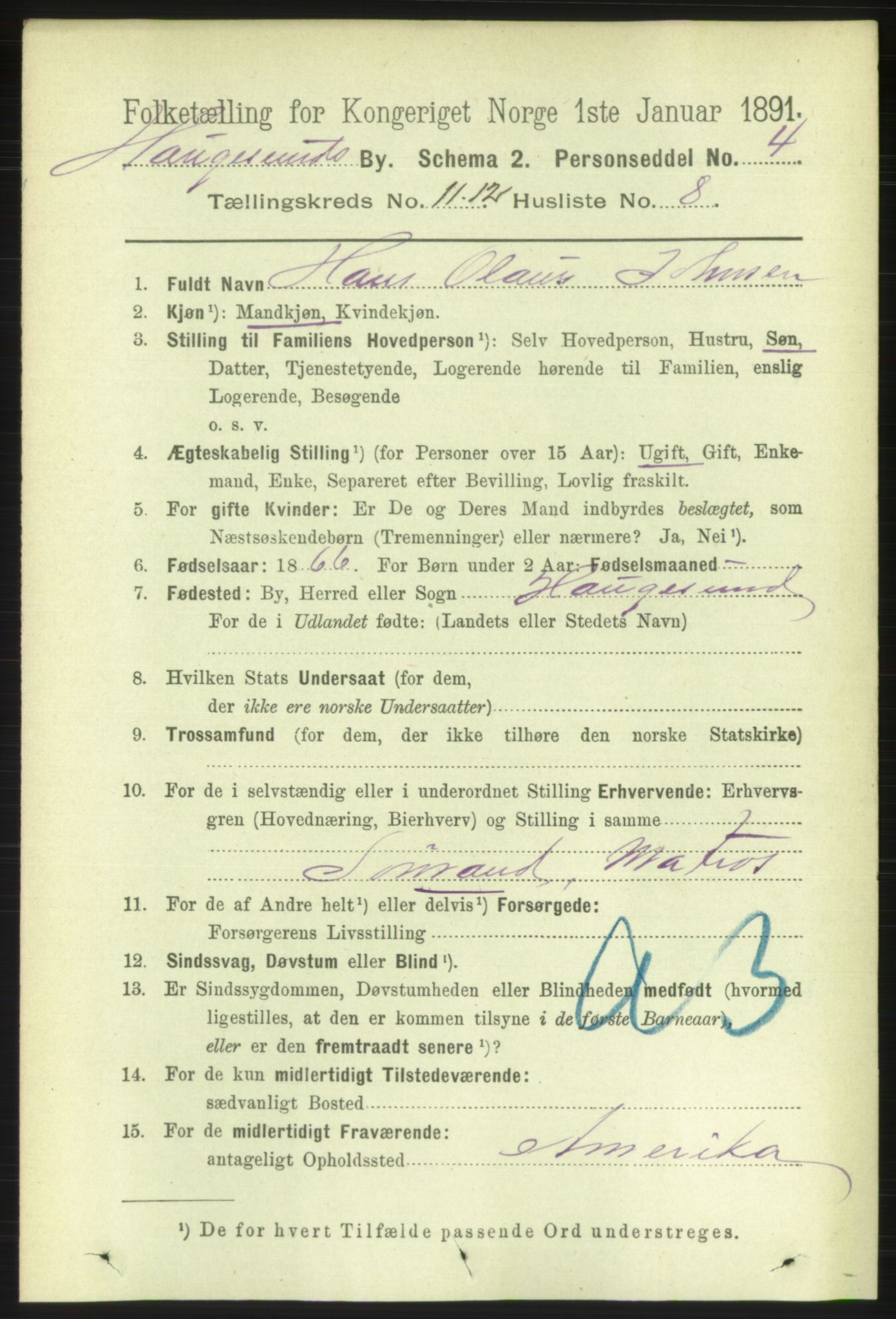 RA, 1891 census for 1106 Haugesund, 1891, p. 4029
