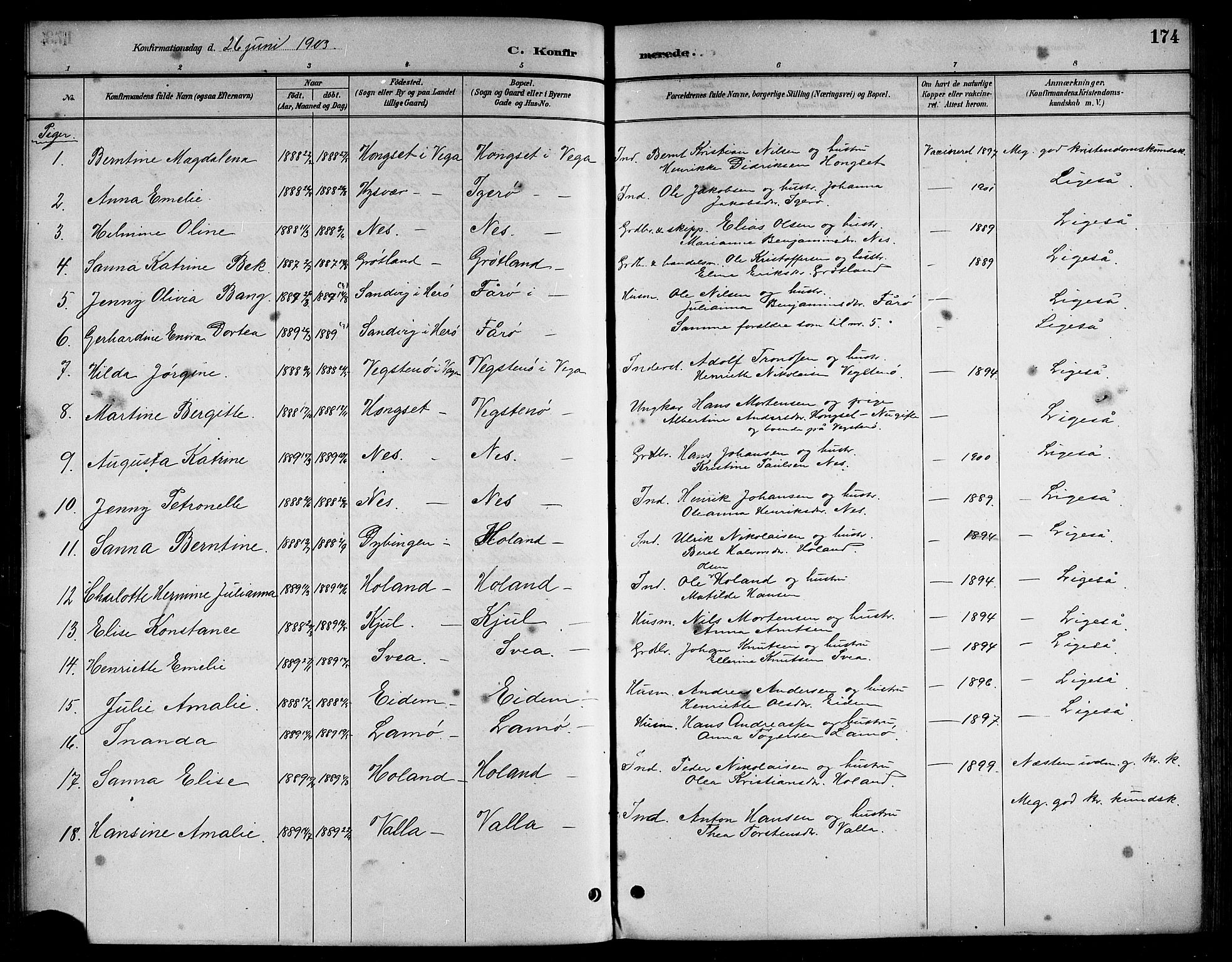 Ministerialprotokoller, klokkerbøker og fødselsregistre - Nordland, AV/SAT-A-1459/816/L0253: Parish register (copy) no. 816C03, 1886-1905, p. 174