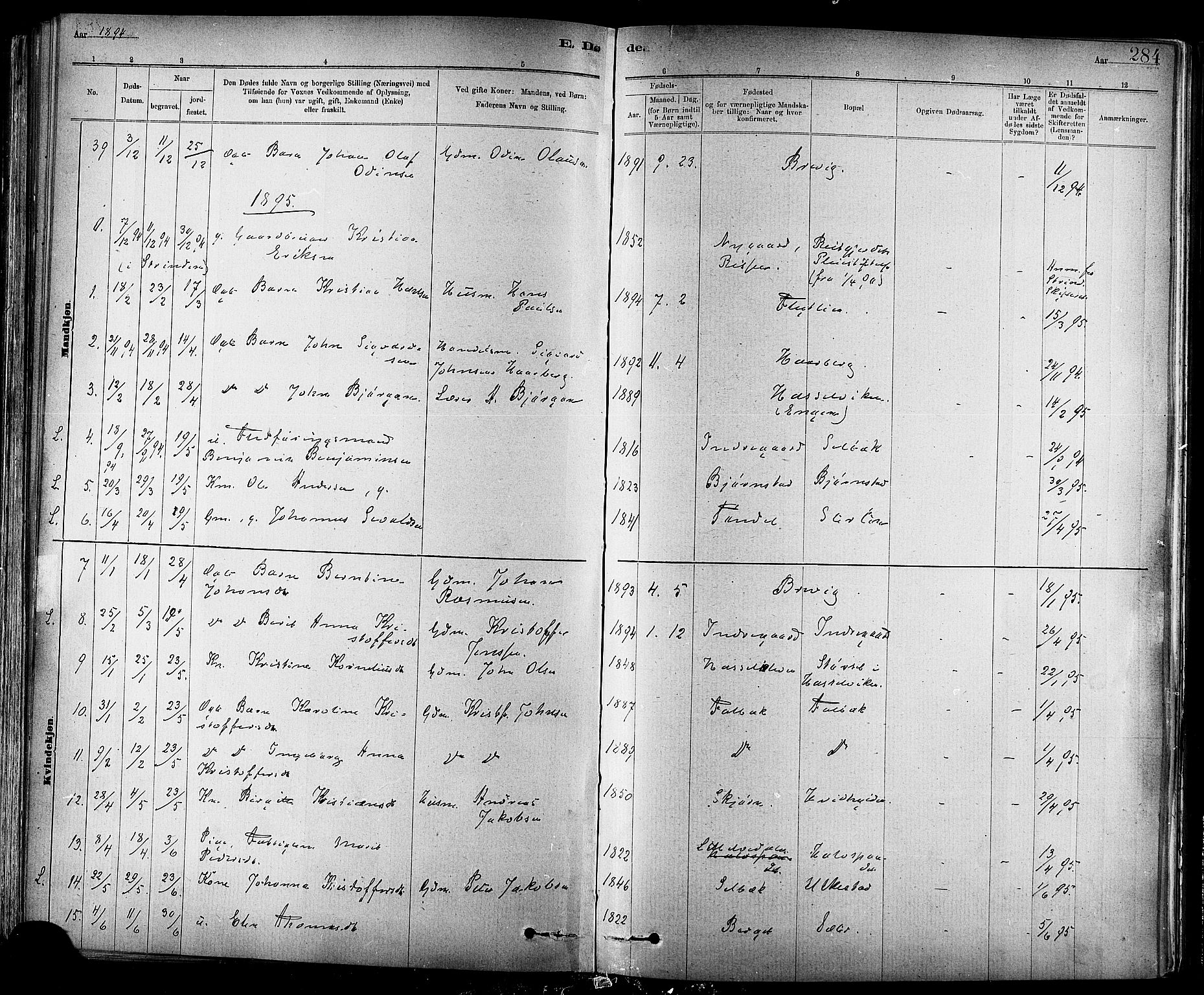 Ministerialprotokoller, klokkerbøker og fødselsregistre - Sør-Trøndelag, AV/SAT-A-1456/647/L0634: Parish register (official) no. 647A01, 1885-1896, p. 284