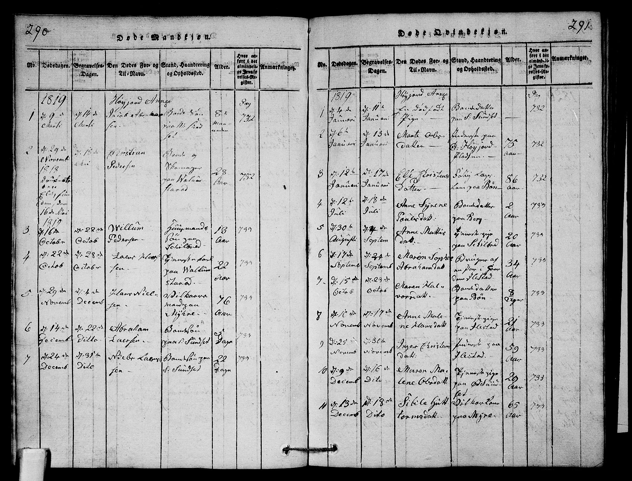 Andebu kirkebøker, SAKO/A-336/G/Ga/L0001: Parish register (copy) no. I 1 /2, 1815-1823, p. 290-291