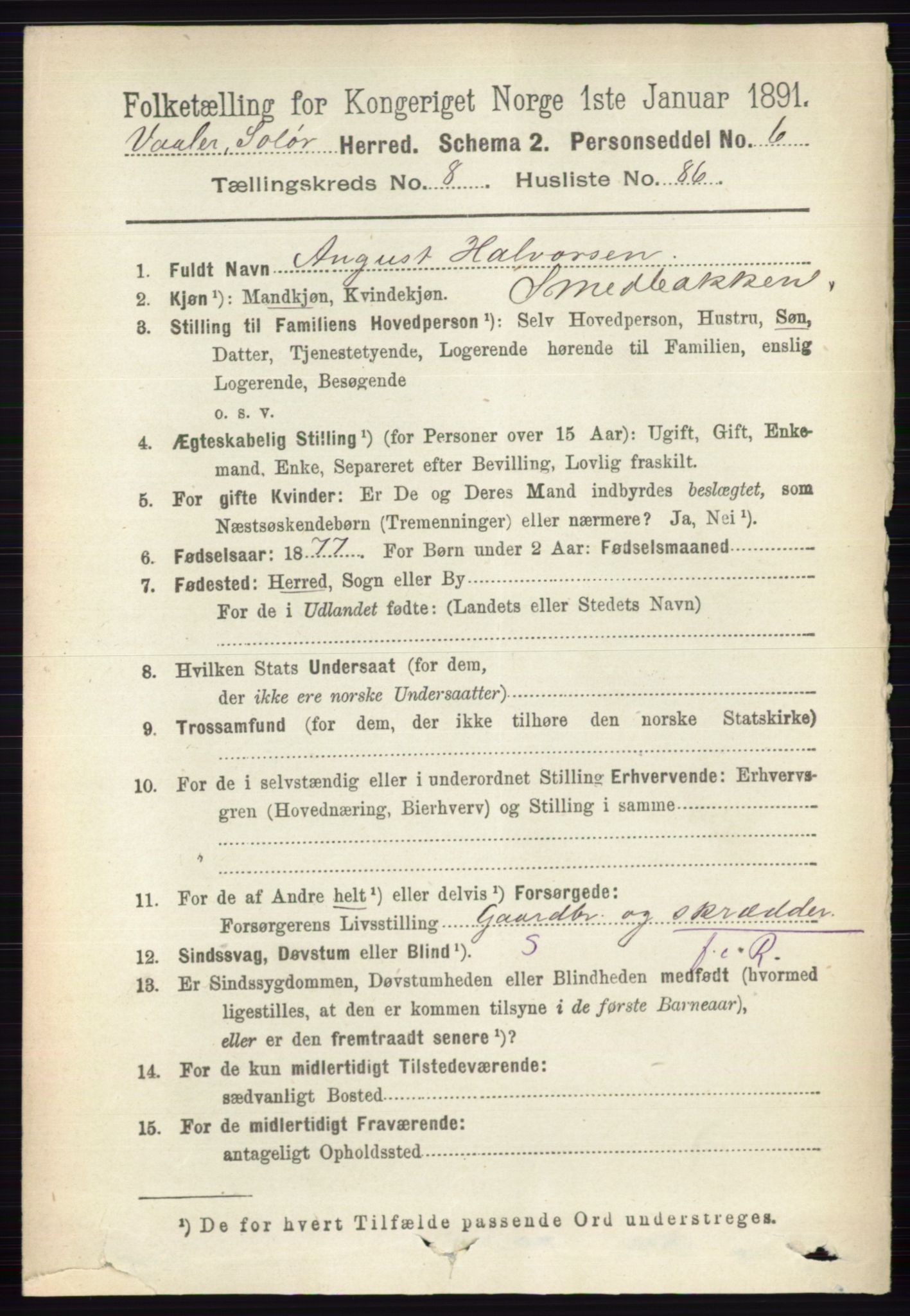 RA, 1891 census for 0426 Våler, 1891, p. 3810