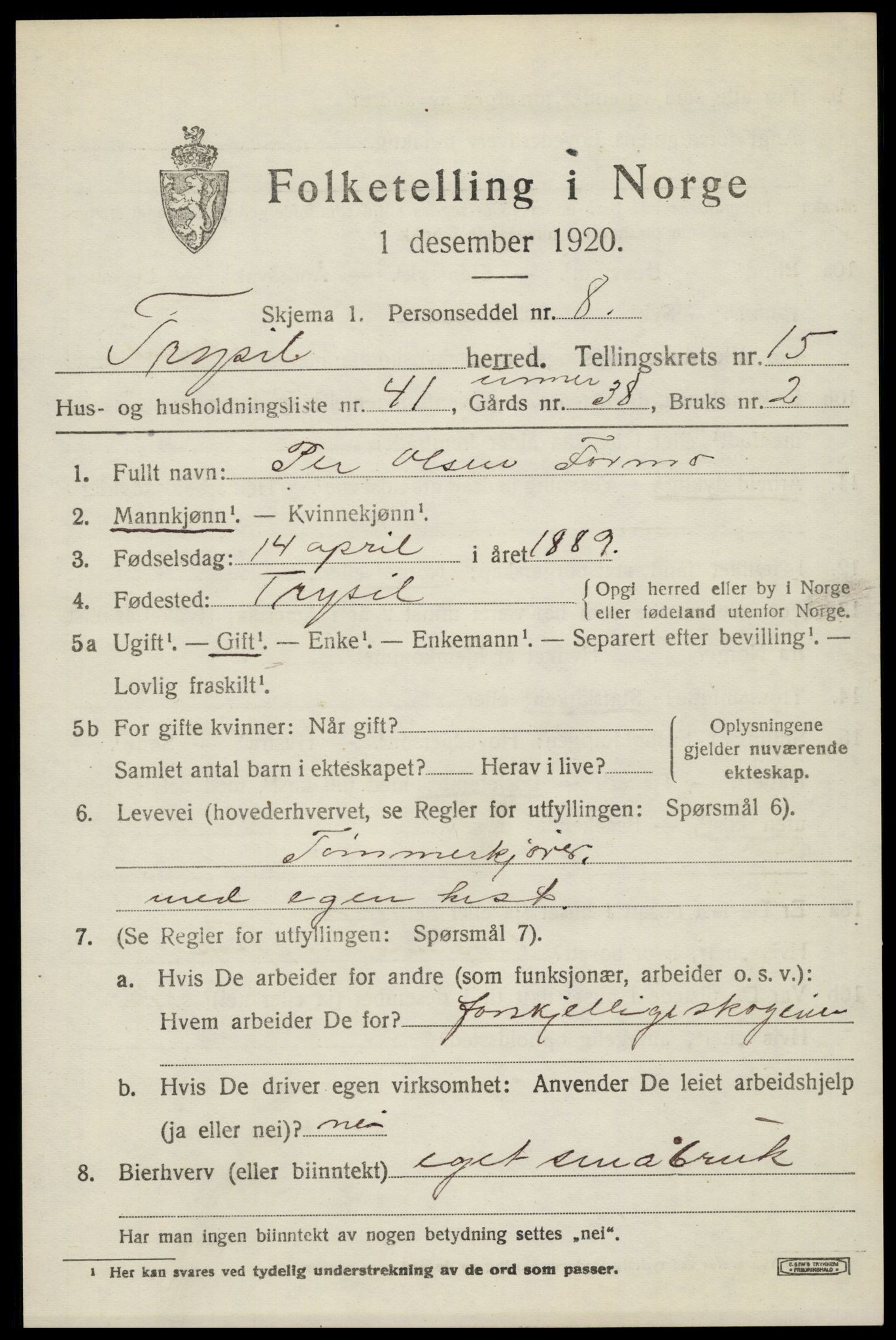 SAH, 1920 census for Trysil, 1920, p. 9405