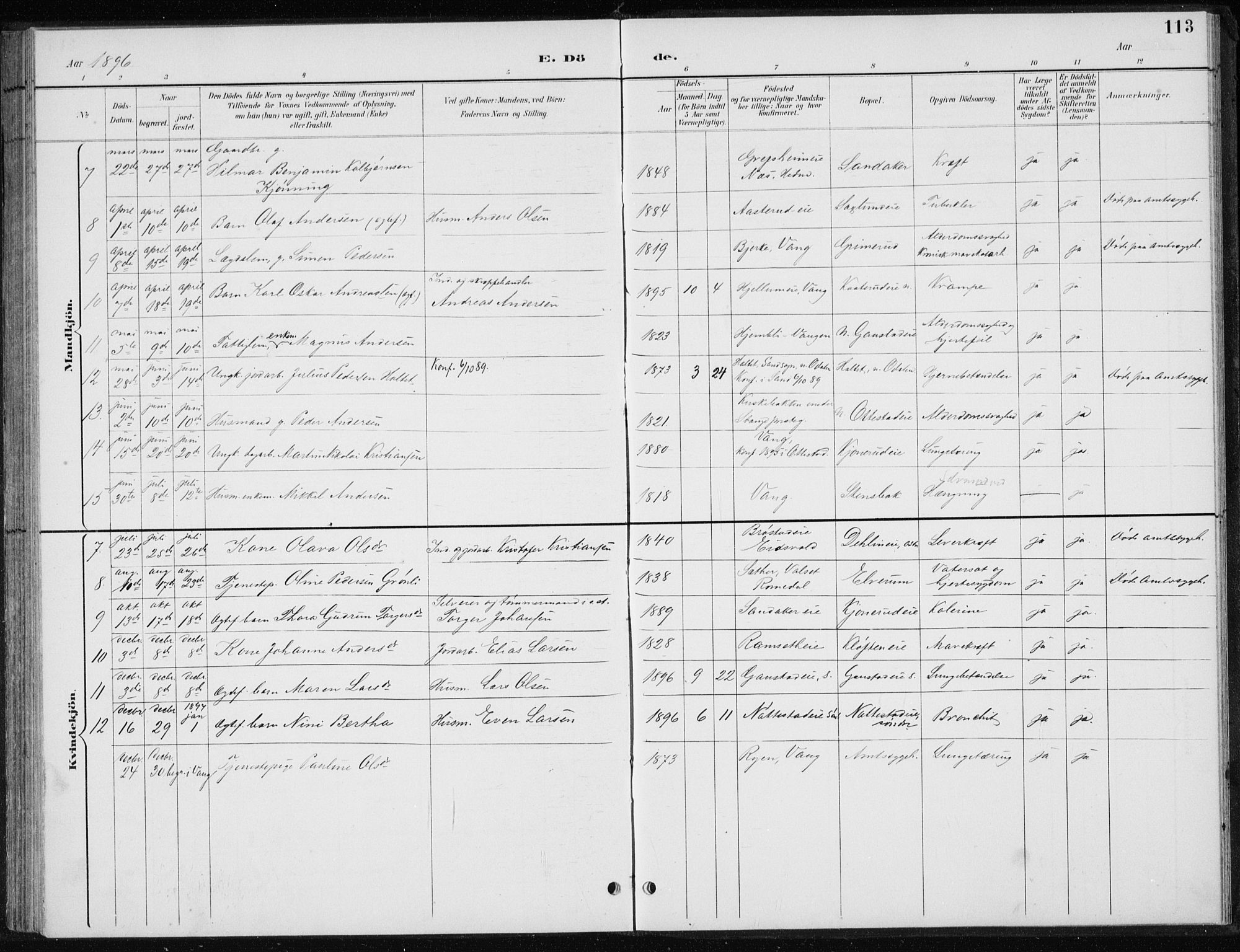 Stange prestekontor, AV/SAH-PREST-002/L/L0010: Parish register (copy) no. 10, 1894-1905, p. 113