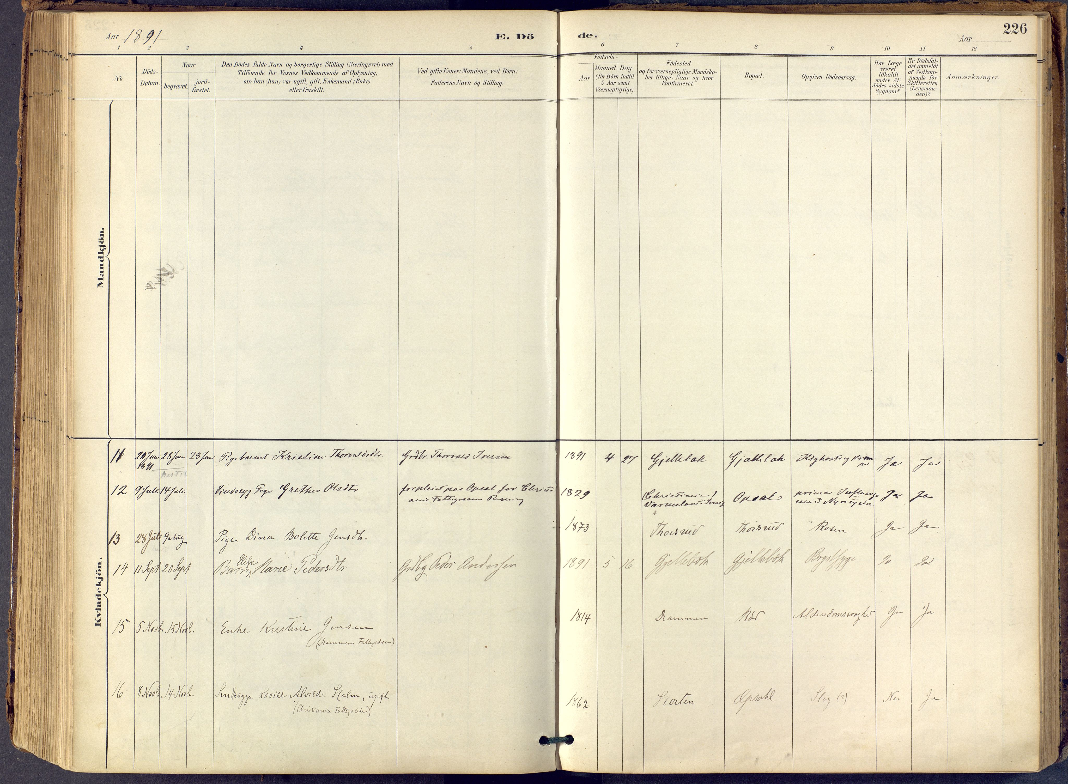 Lier kirkebøker, AV/SAKO-A-230/F/Fb/L0001: Parish register (official) no. II 1, 1883-1910, p. 226