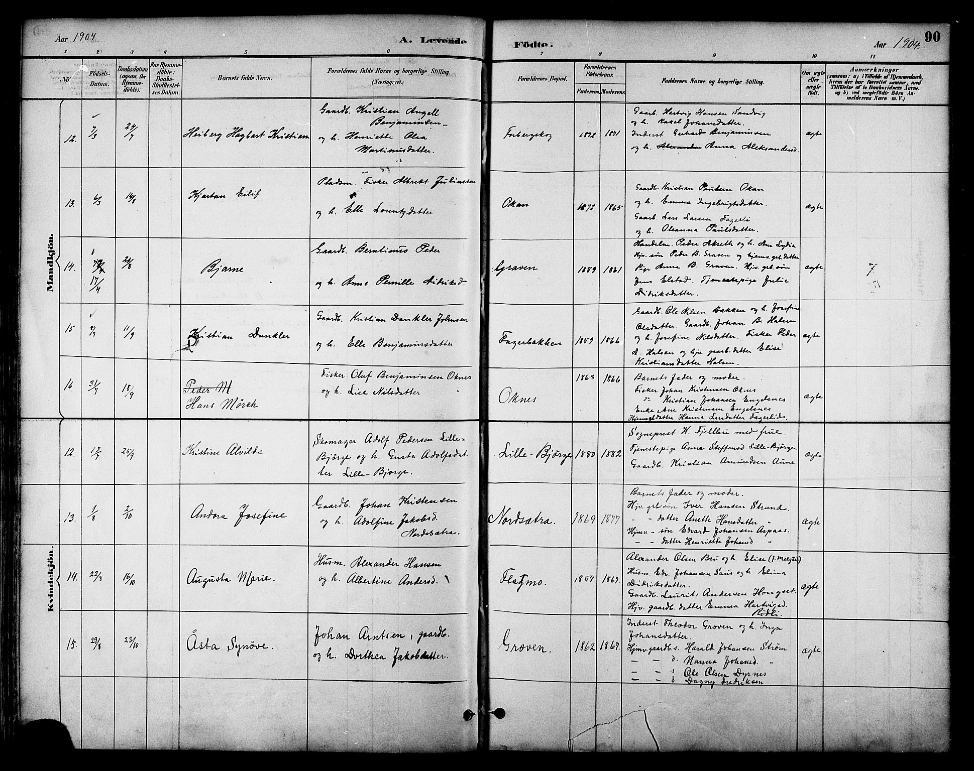 Ministerialprotokoller, klokkerbøker og fødselsregistre - Nordland, AV/SAT-A-1459/814/L0230: Parish register (copy) no. 814C03, 1884-1911, p. 90