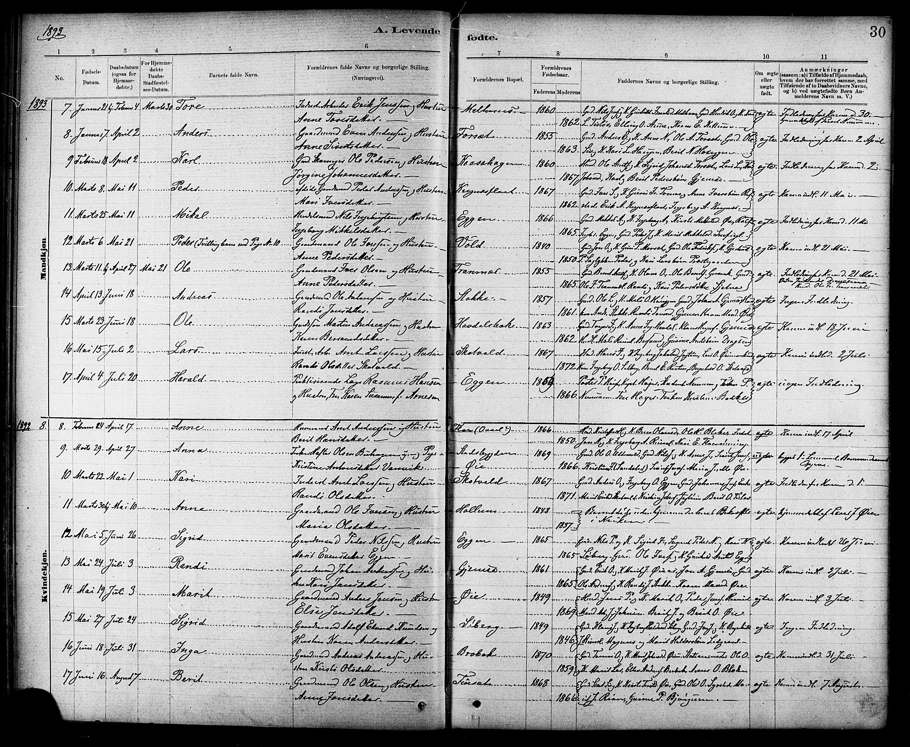 Ministerialprotokoller, klokkerbøker og fødselsregistre - Sør-Trøndelag, SAT/A-1456/691/L1094: Parish register (copy) no. 691C05, 1879-1911, p. 30