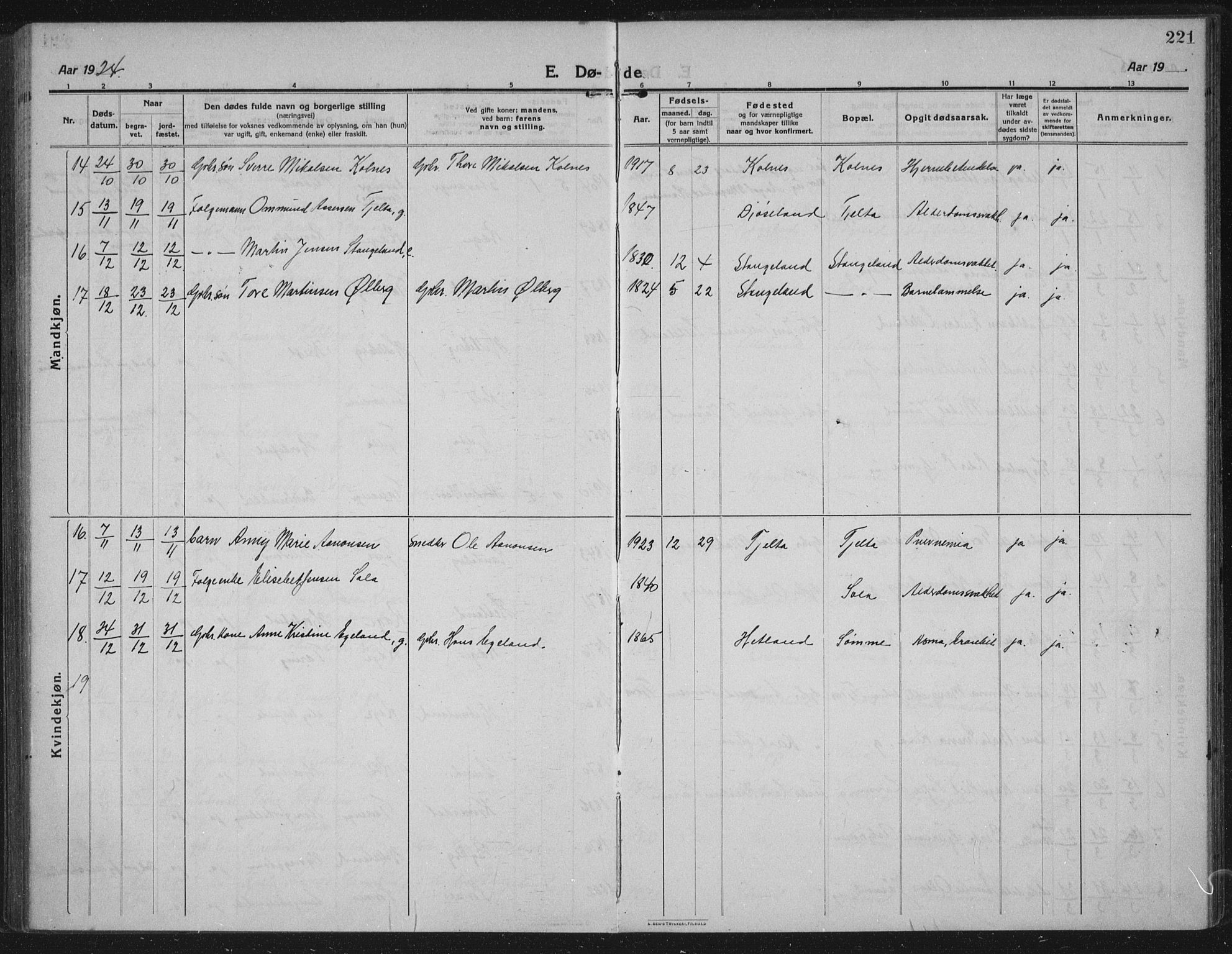 Håland sokneprestkontor, AV/SAST-A-101802/002/C/L0001: Parish register (official) no. A 14, 1913-1927, p. 221