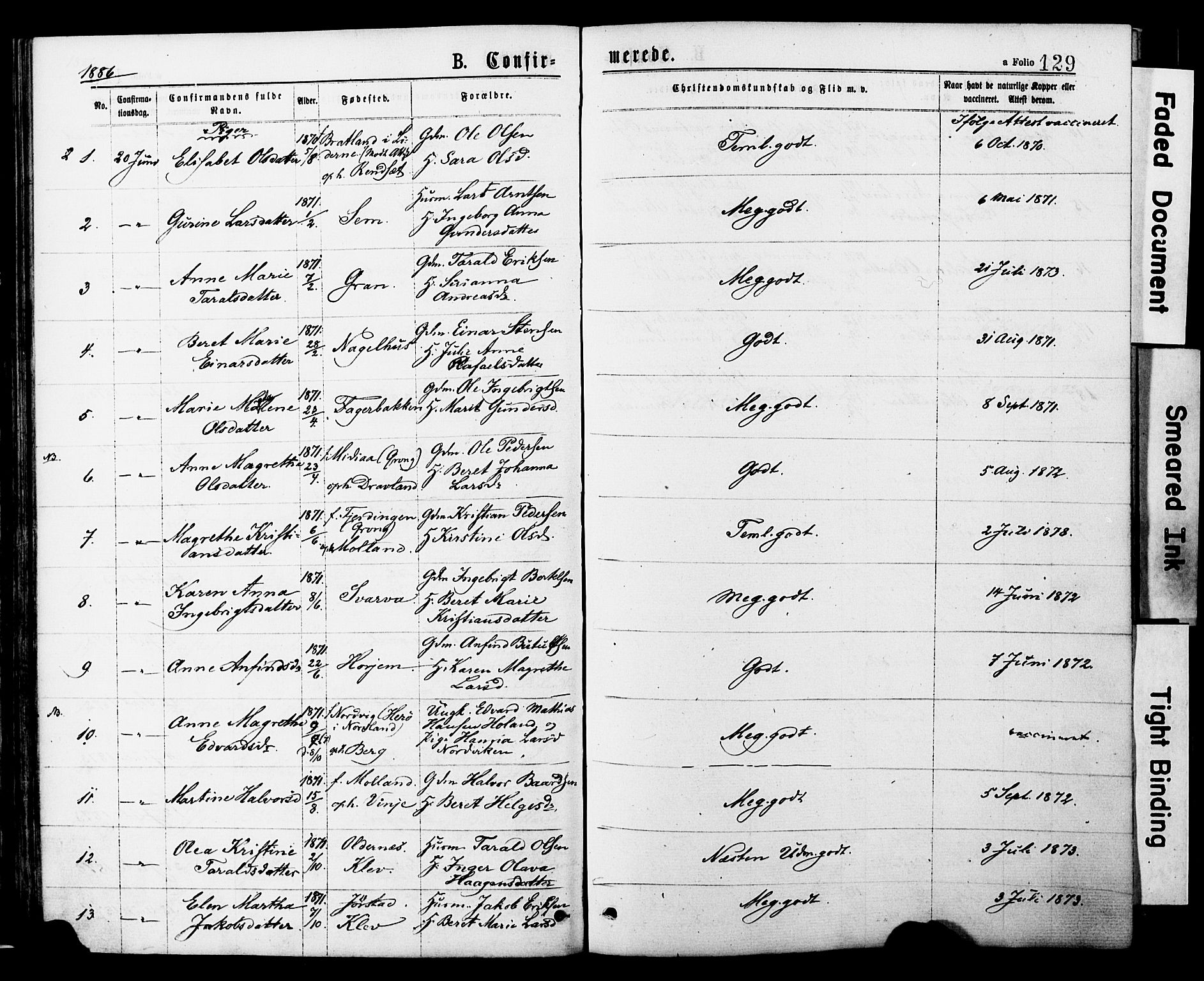 Ministerialprotokoller, klokkerbøker og fødselsregistre - Nord-Trøndelag, AV/SAT-A-1458/749/L0473: Parish register (official) no. 749A07, 1873-1887, p. 129