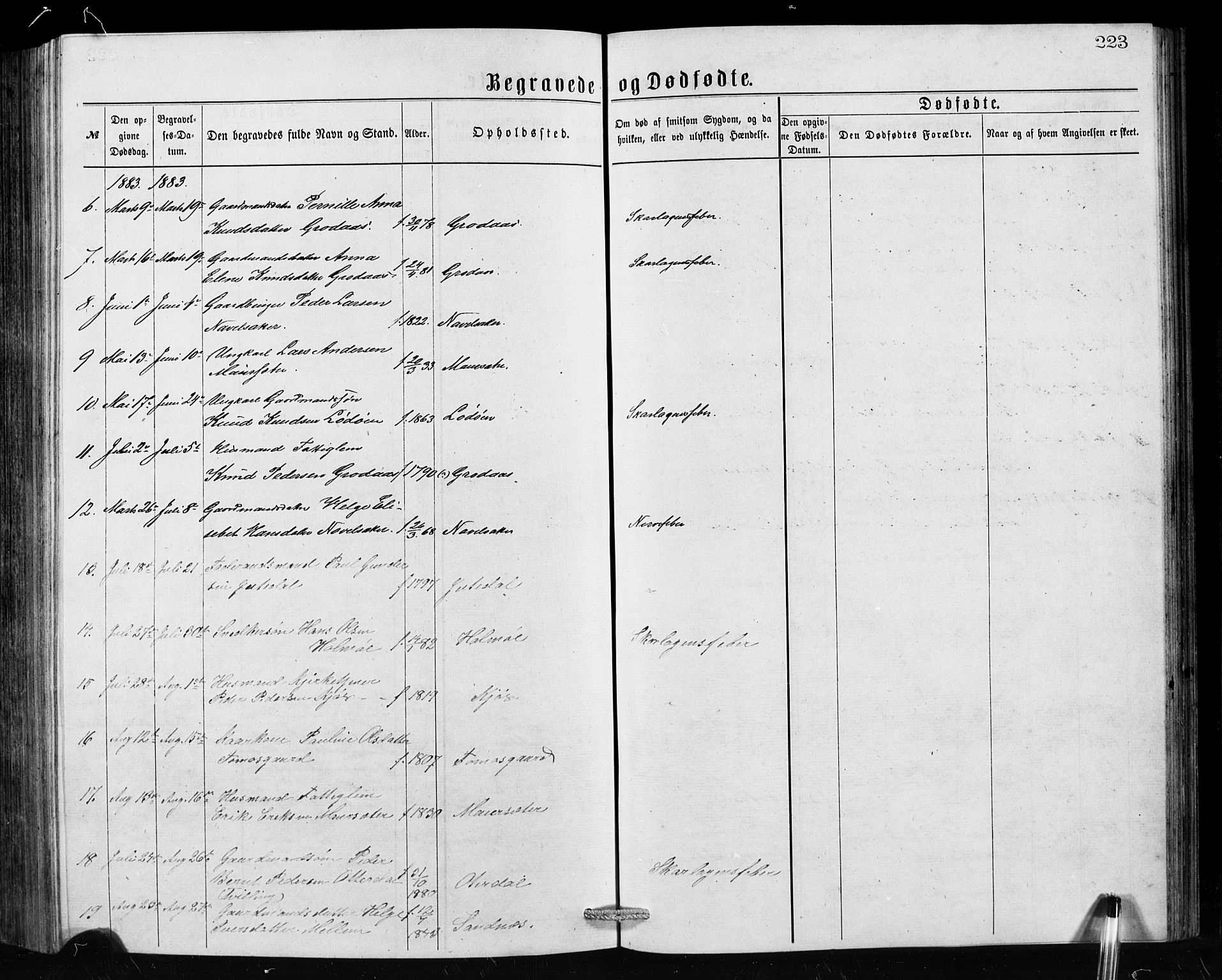 Hornindal sokneprestembete, AV/SAB-A-82401/H/Hab: Parish register (copy) no. A 1, 1876-1894, p. 223