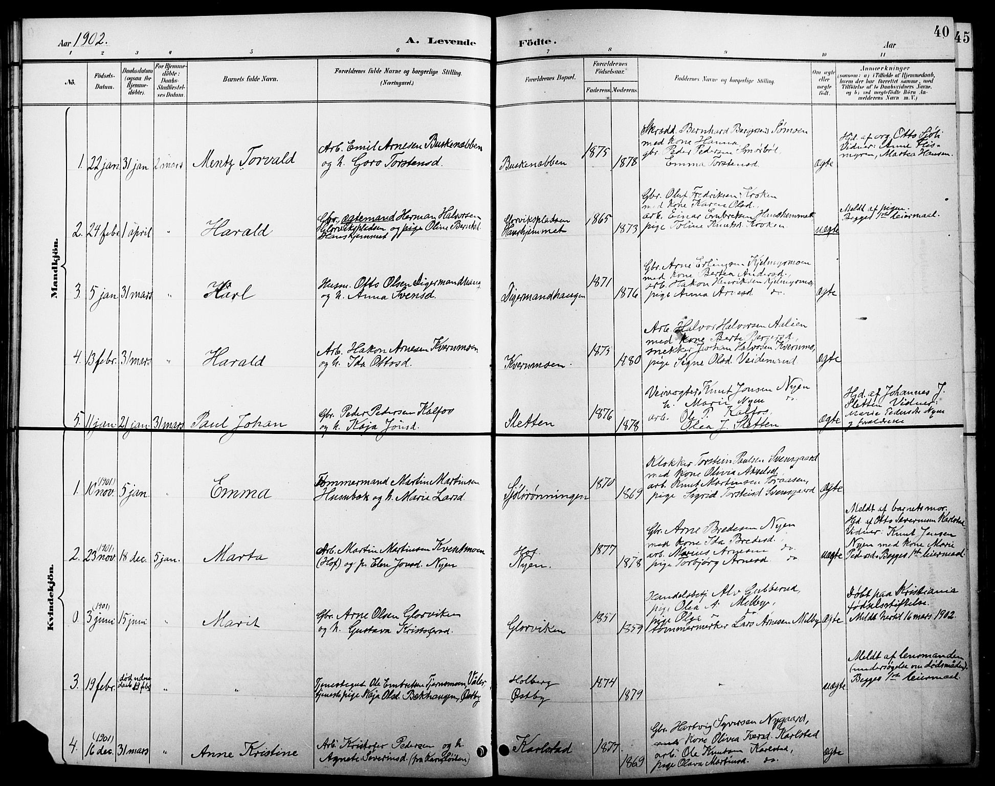 Åsnes prestekontor, AV/SAH-PREST-042/H/Ha/Hab/L0005: Parish register (copy) no. 5, 1895-1920, p. 40