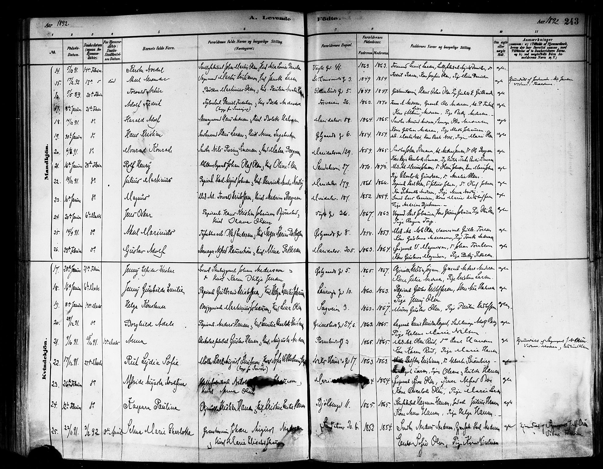 Sagene prestekontor Kirkebøker, SAO/A-10796/F/L0001: Parish register (official) no. 1, 1880-1893, p. 243
